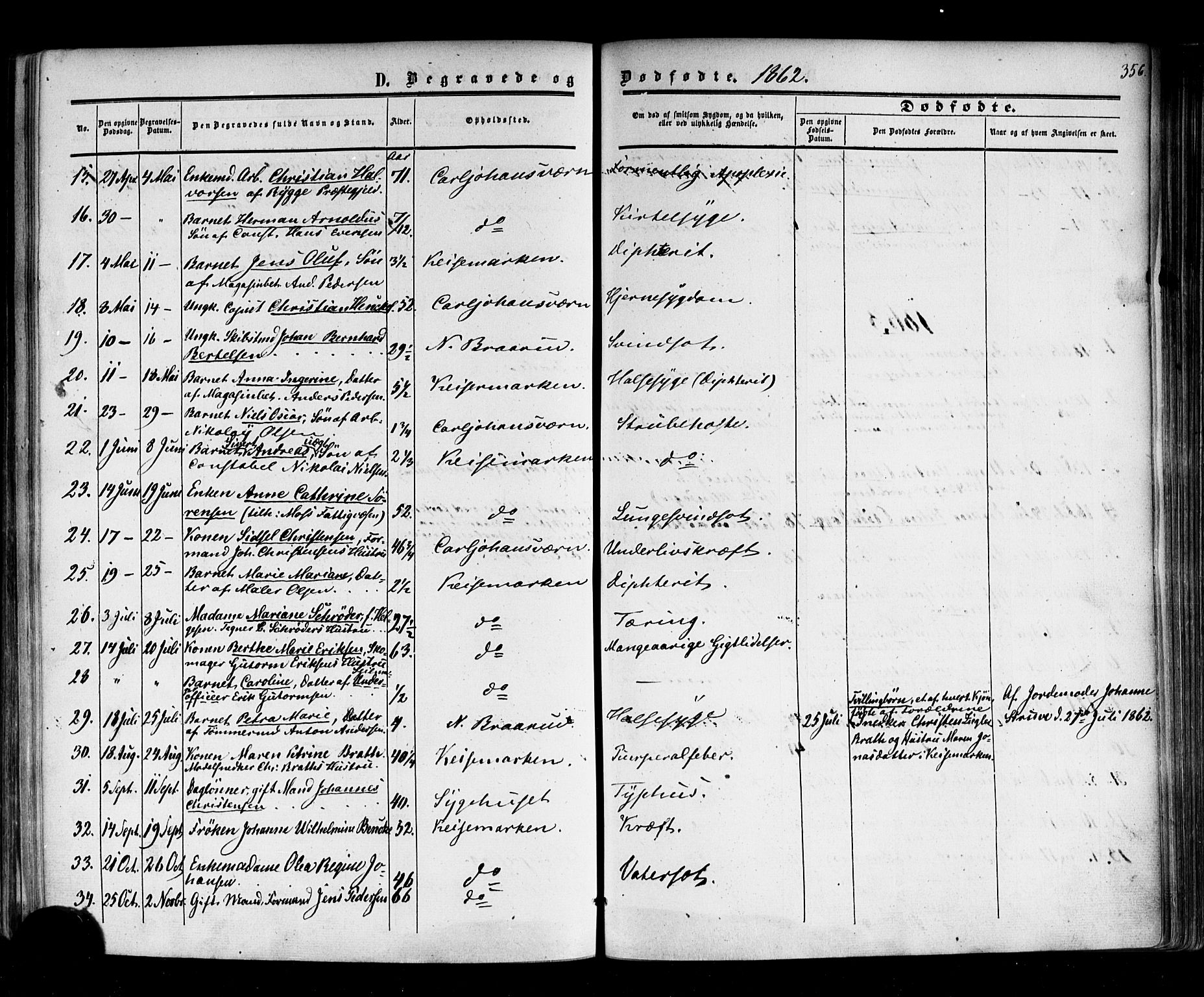 Horten kirkebøker, AV/SAKO-A-348/F/Fa/L0001: Parish register (official) no. 1, 1855-1871, p. 356