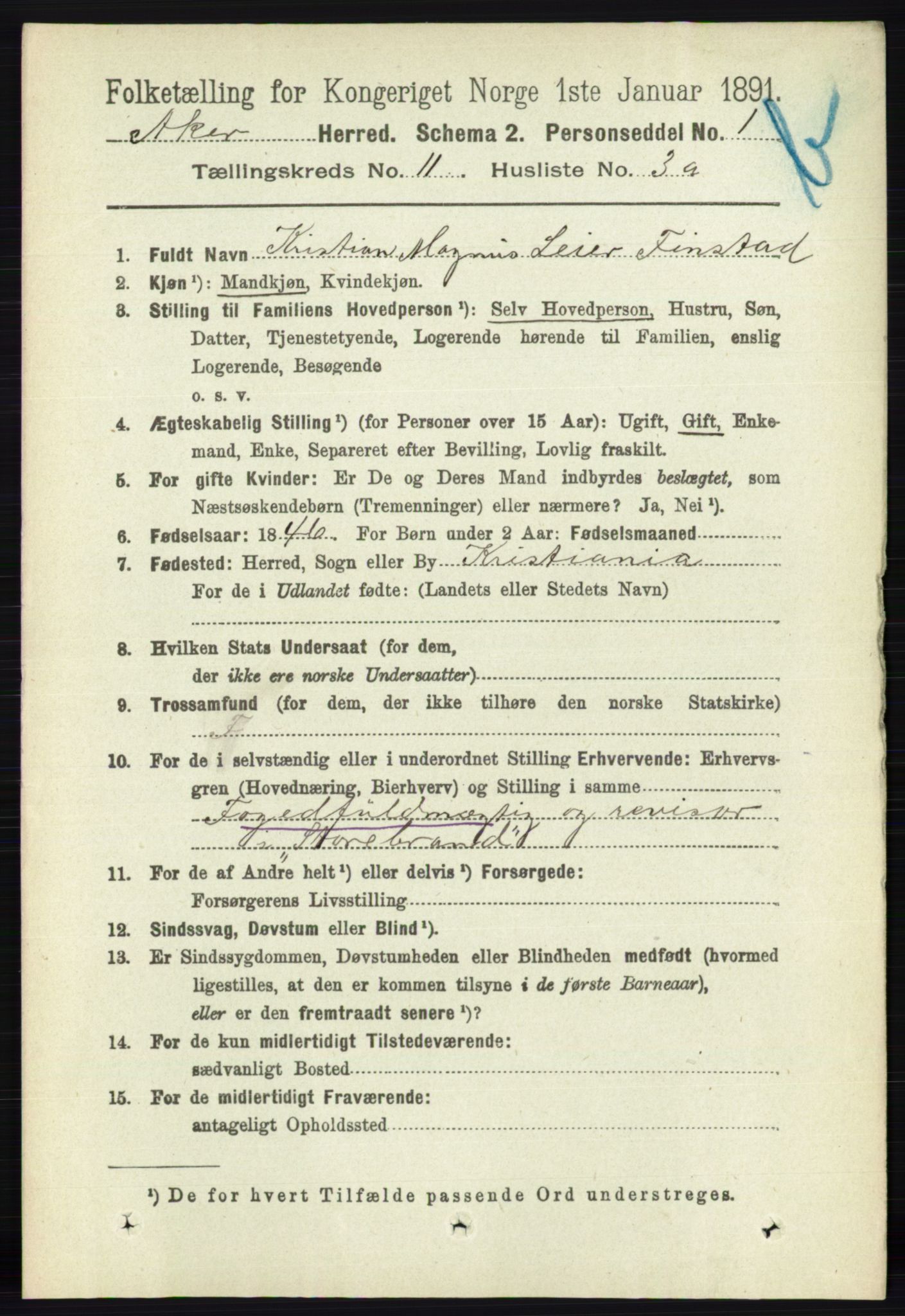 RA, 1891 census for 0218 Aker, 1891, p. 10191