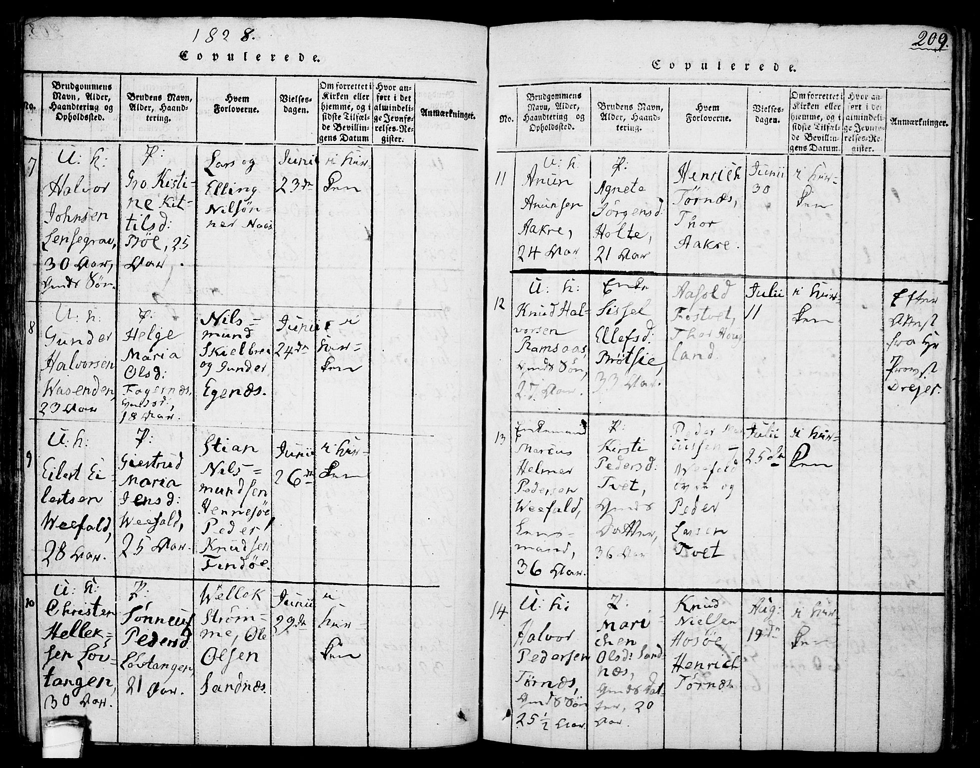 Drangedal kirkebøker, SAKO/A-258/F/Fa/L0005: Parish register (official) no. 5 /1, 1814-1831, p. 209