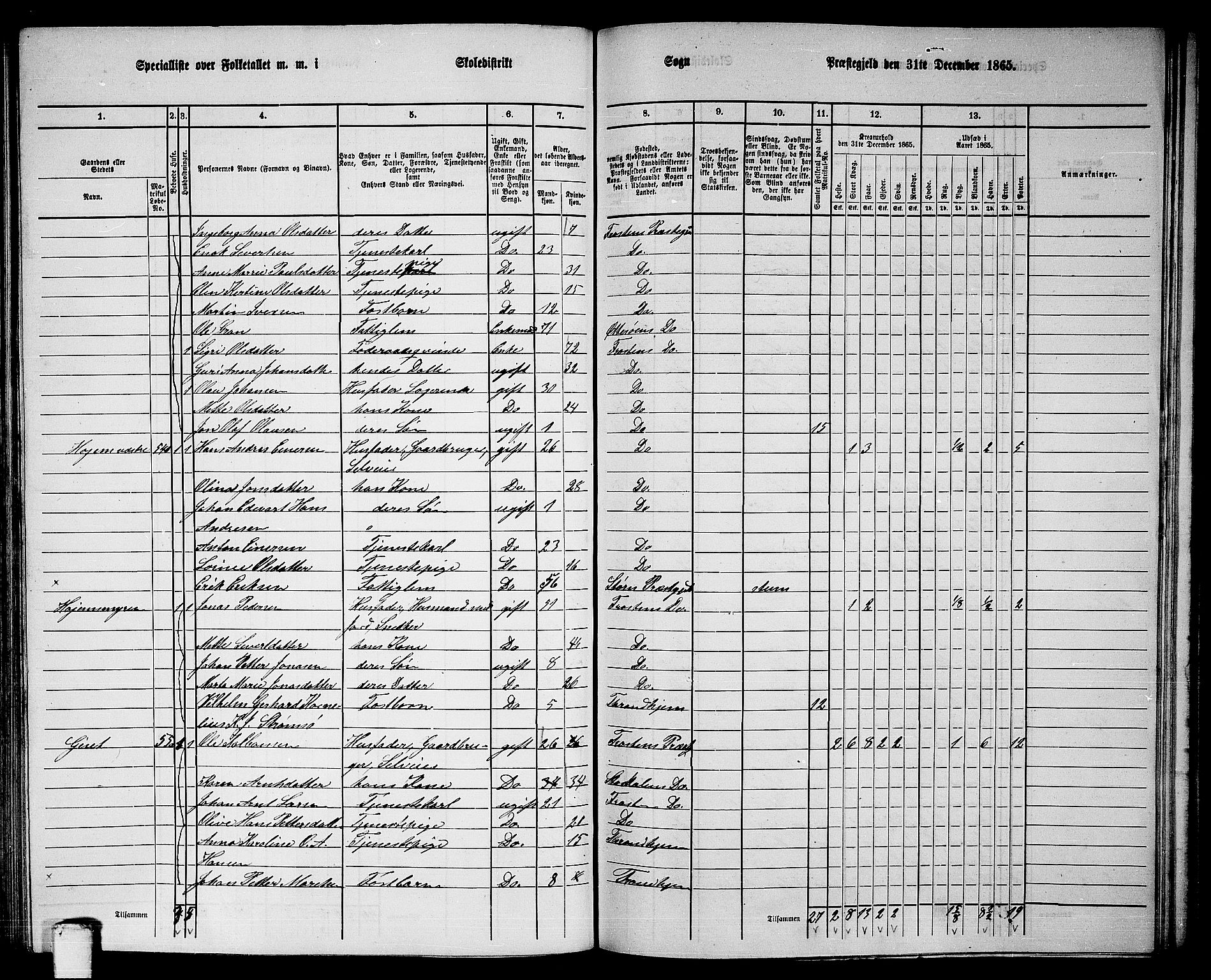 RA, 1865 census for Frosta, 1865, p. 121