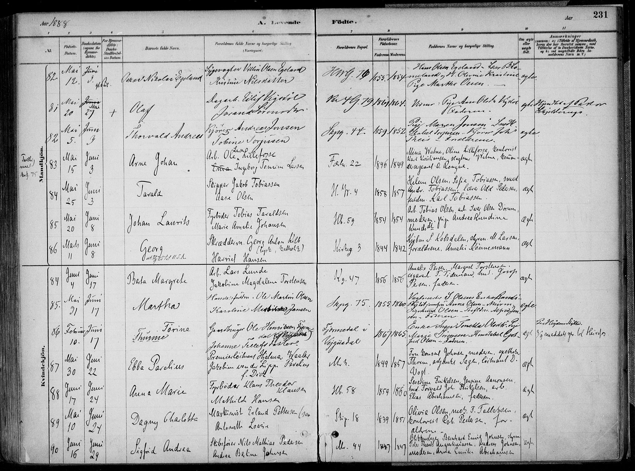 Kristiansand domprosti, SAK/1112-0006/F/Fa/L0016: Parish register (official) no. A 16A, 1880-1890, p. 231