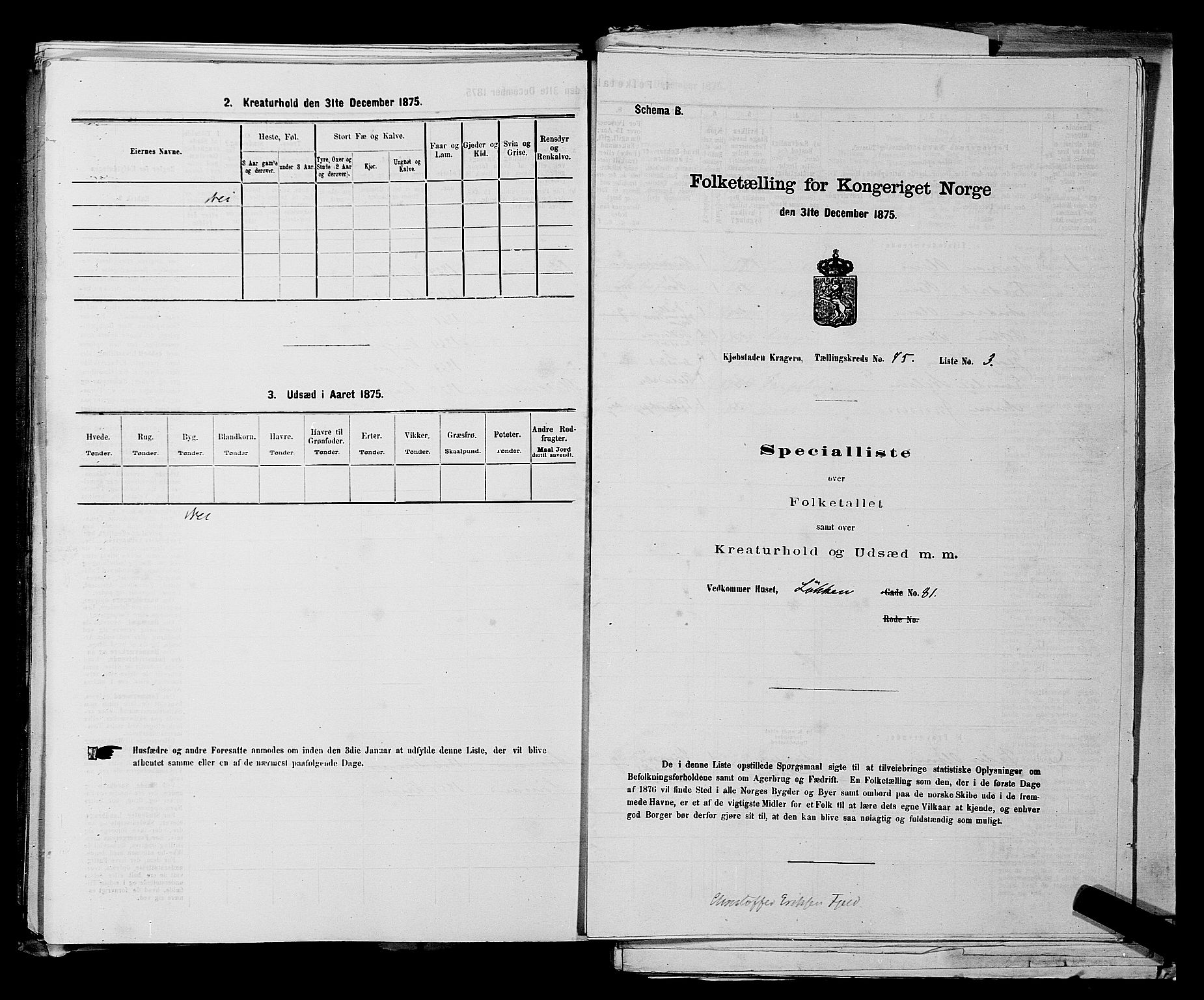 SAKO, 1875 census for 0801P Kragerø, 1875, p. 993