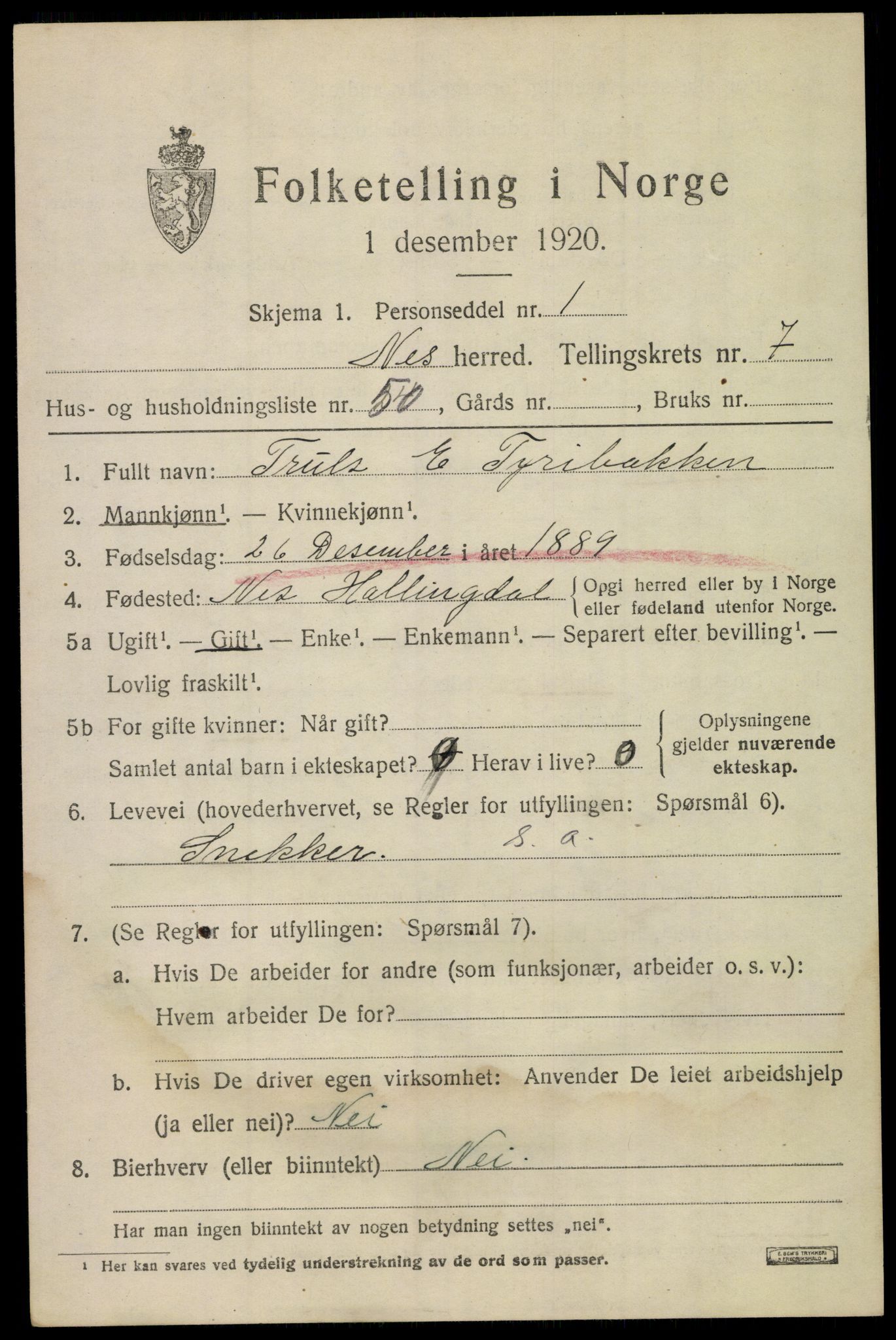 SAKO, 1920 census for Nes (Buskerud), 1920, p. 5054