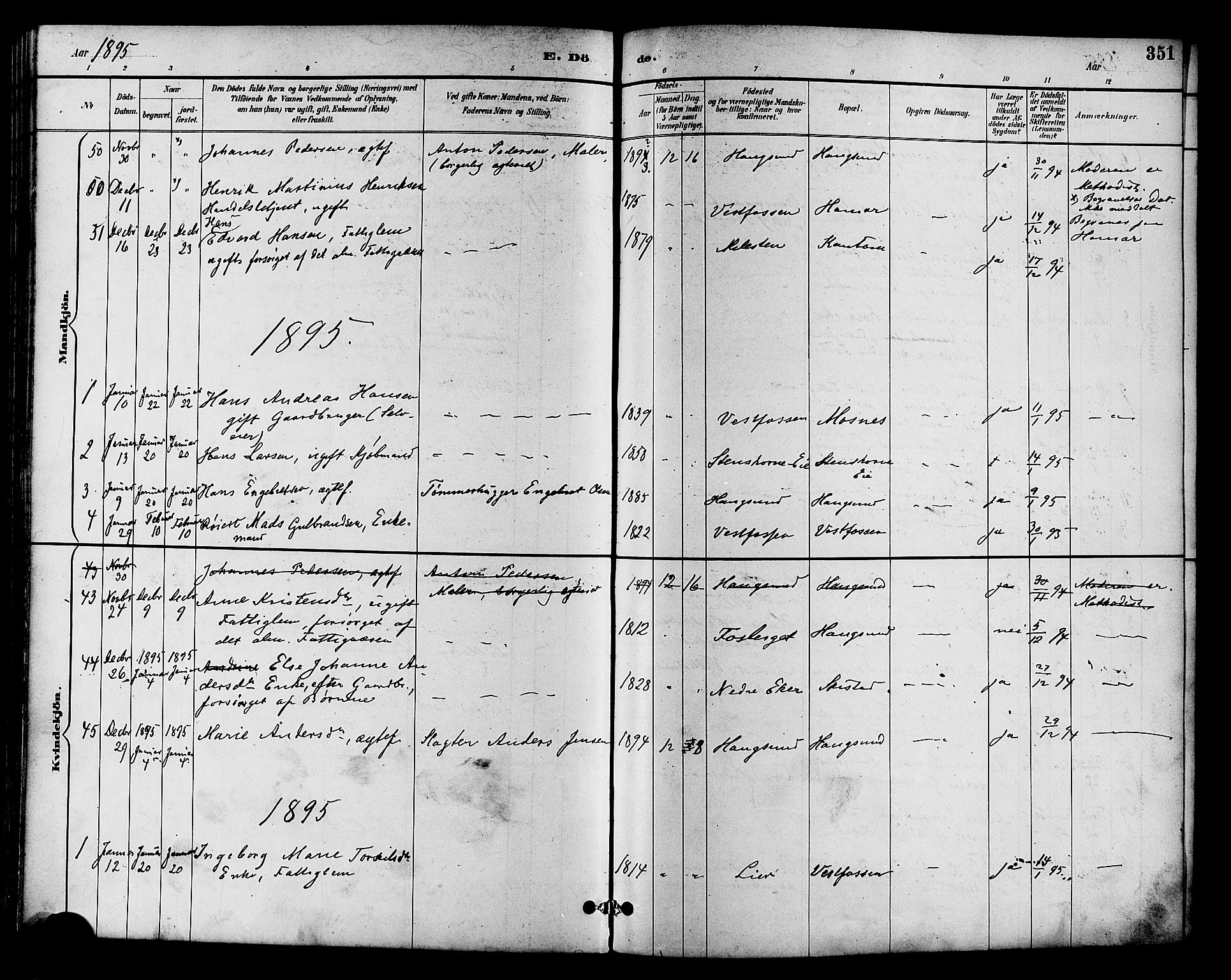 Eiker kirkebøker, SAKO/A-4/F/Fb/L0002: Parish register (official) no. II 2, 1889-1896, p. 351