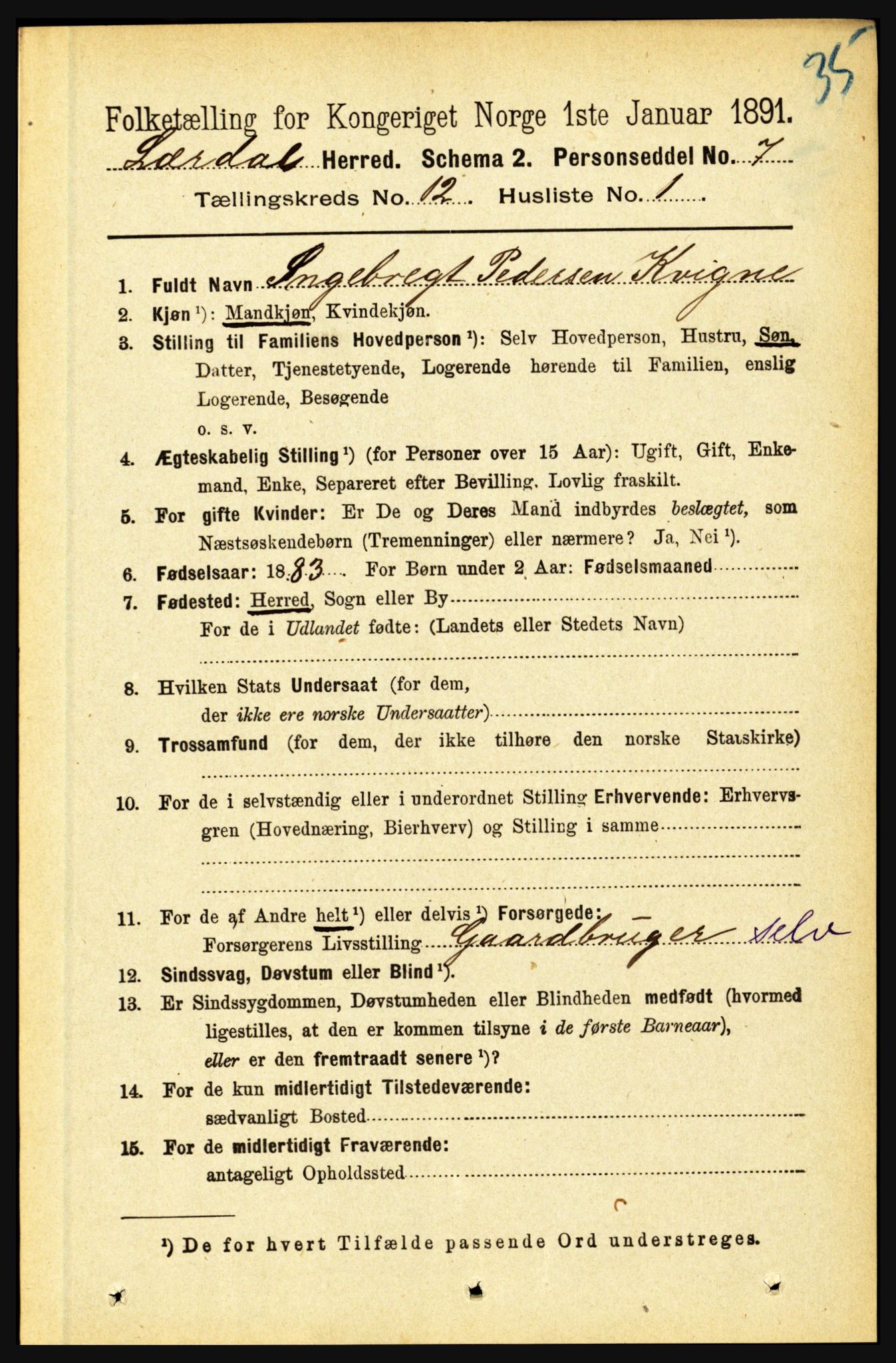 RA, 1891 census for 1422 Lærdal, 1891, p. 2554