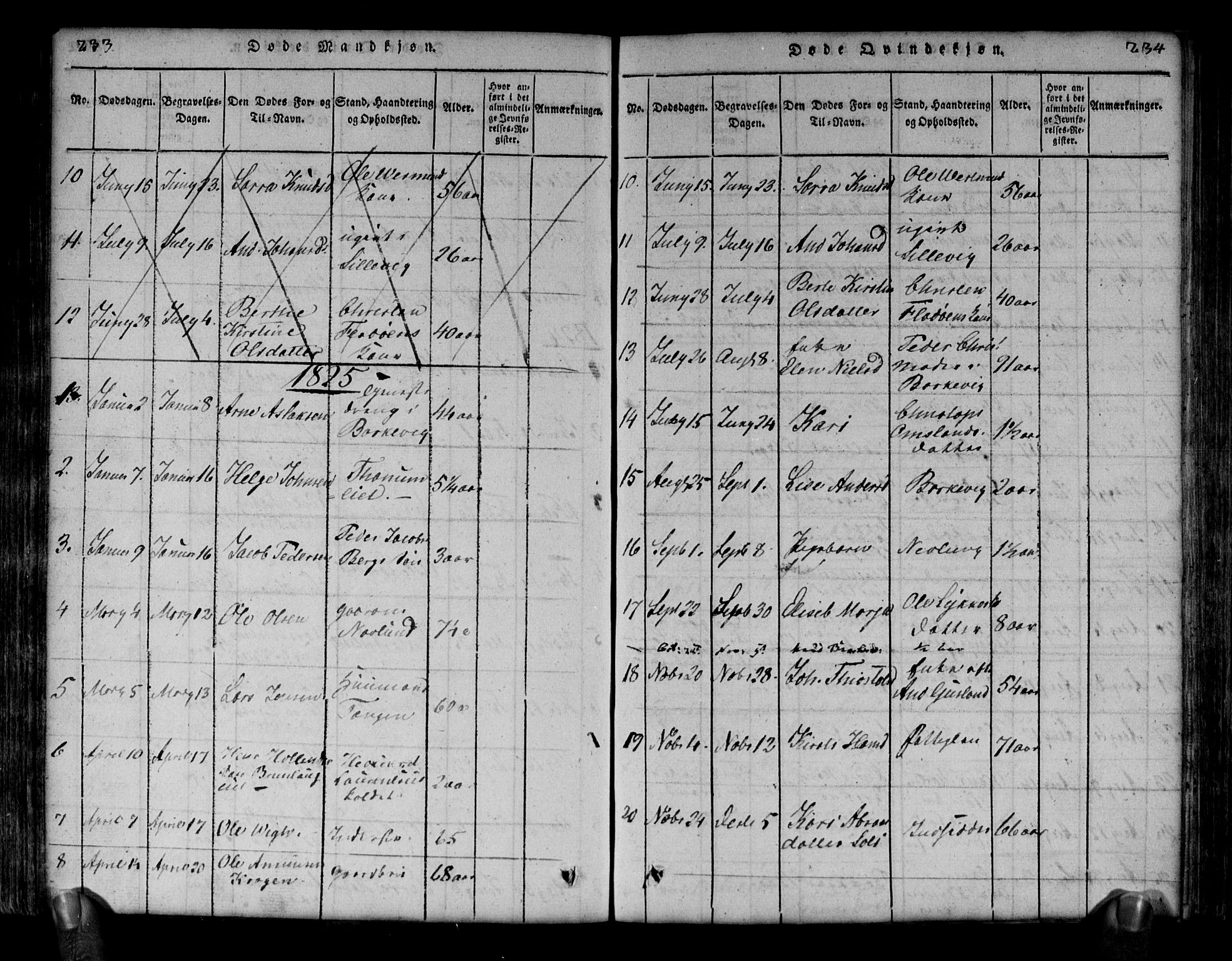 Brunlanes kirkebøker, SAKO/A-342/G/Ga/L0001: Parish register (copy) no. I 1, 1814-1834, p. 233-234
