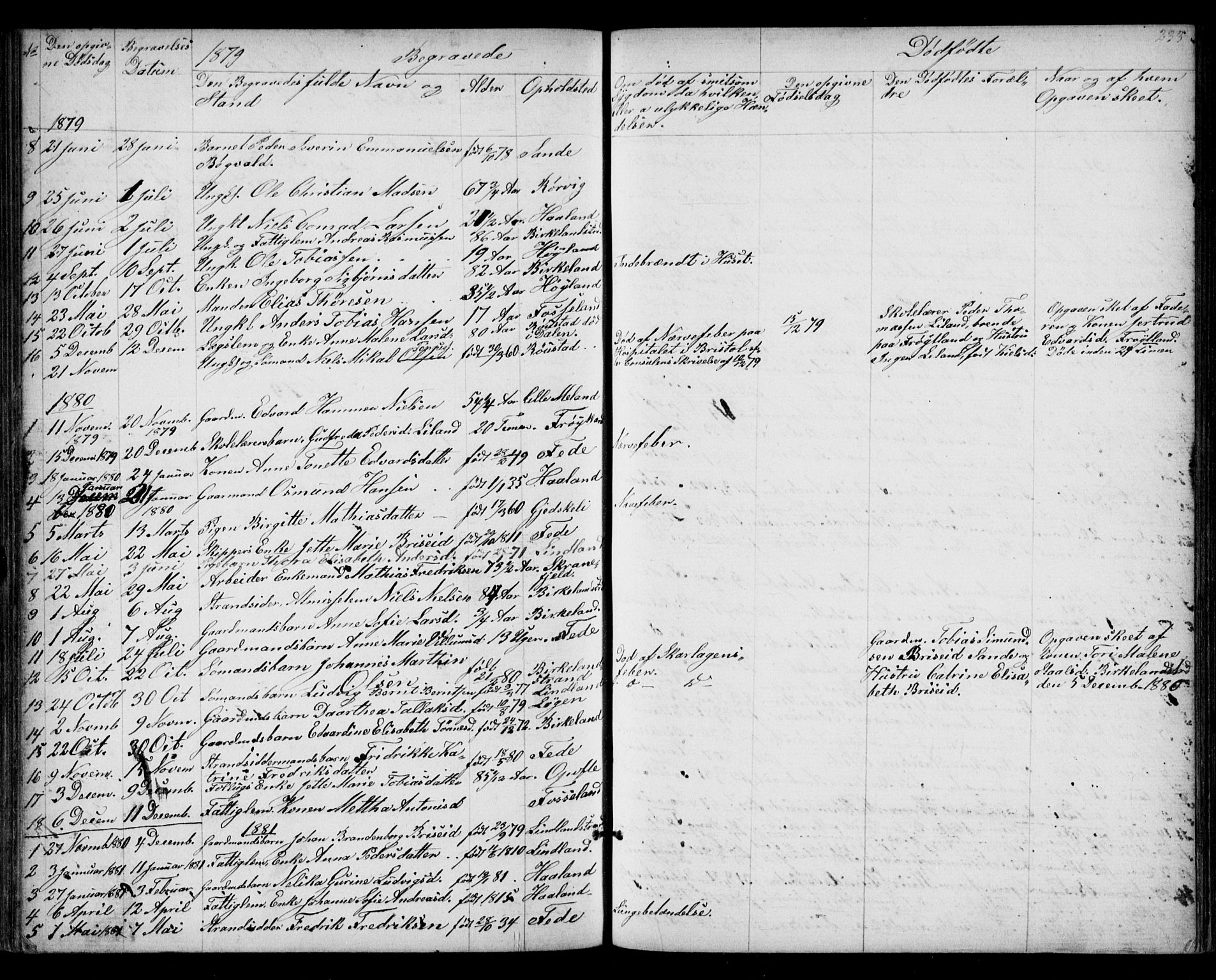 Kvinesdal sokneprestkontor, AV/SAK-1111-0026/F/Fb/Fba/L0003: Parish register (copy) no. B 3, 1858-1893, p. 233