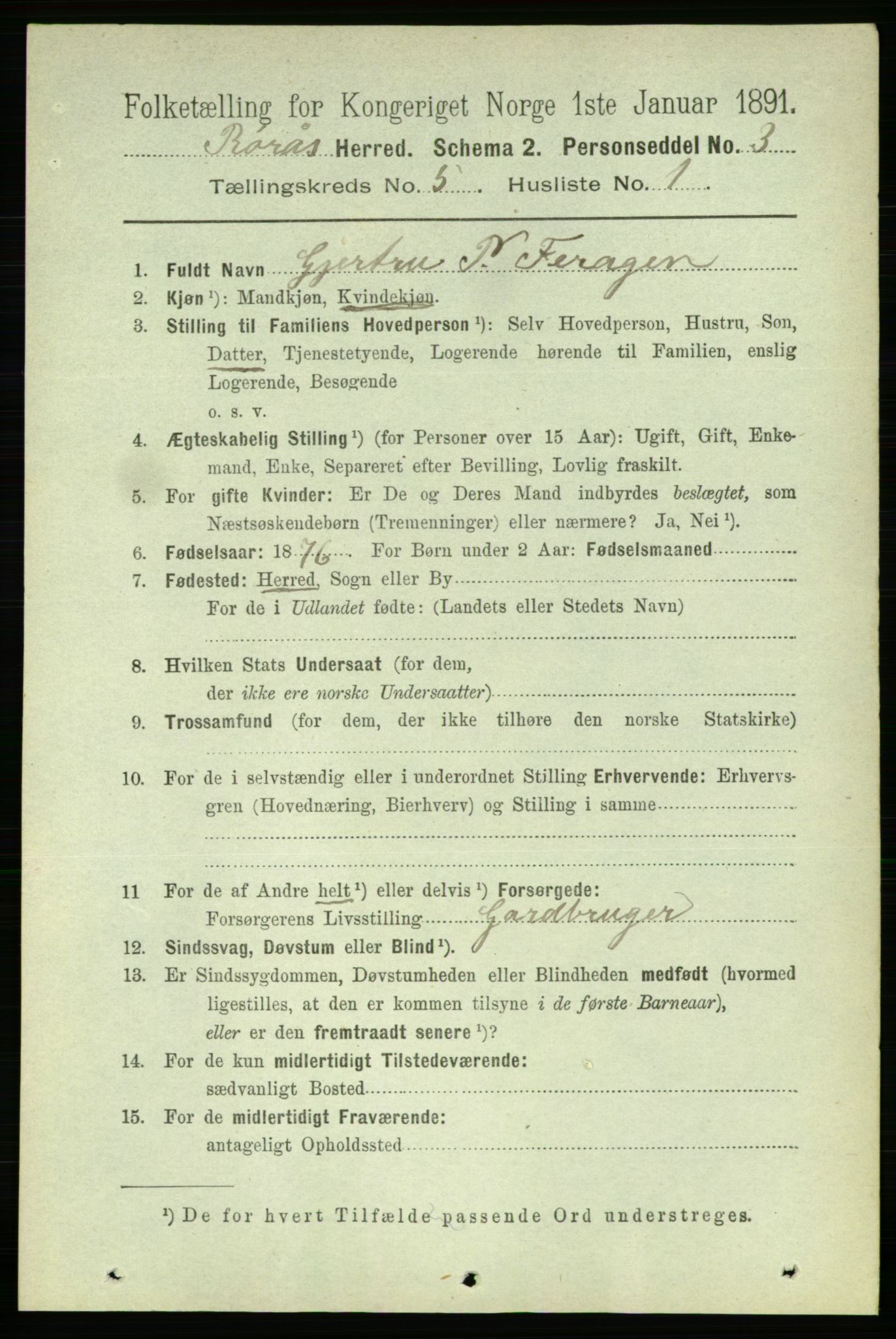 RA, 1891 census for 1640 Røros, 1891, p. 1023