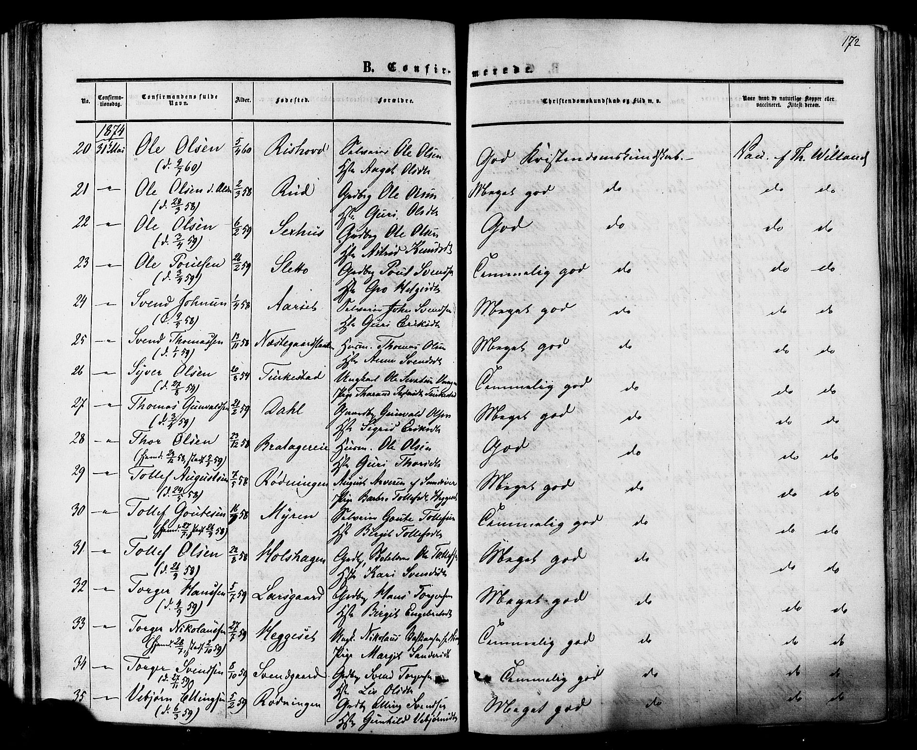 Hol kirkebøker, AV/SAKO-A-227/F/Fa/L0002: Parish register (official) no. I 2, 1870-1886, p. 172