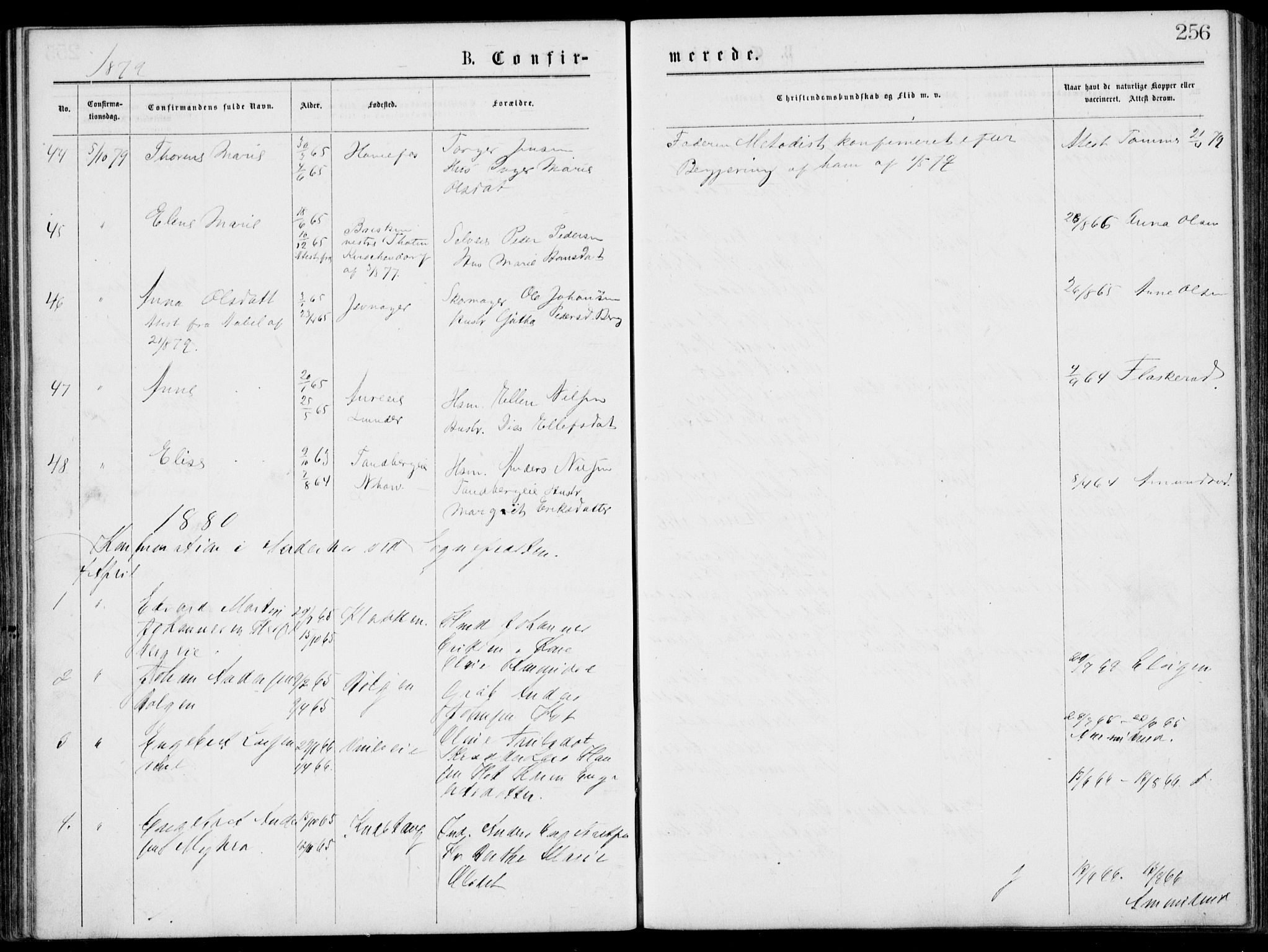 Norderhov kirkebøker, SAKO/A-237/G/Gb/L0001: Parish register (copy) no. II 1, 1876-1899, p. 256