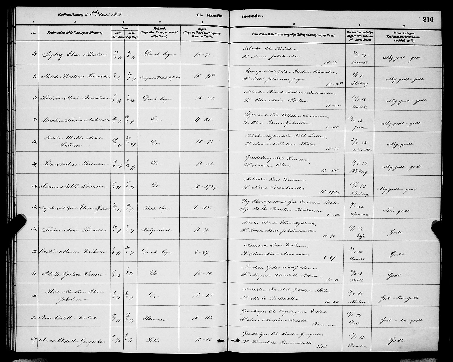 Domkirken sokneprestembete, AV/SAB-A-74801/H/Hab/L0024: Parish register (copy) no. C 4, 1880-1899, p. 210