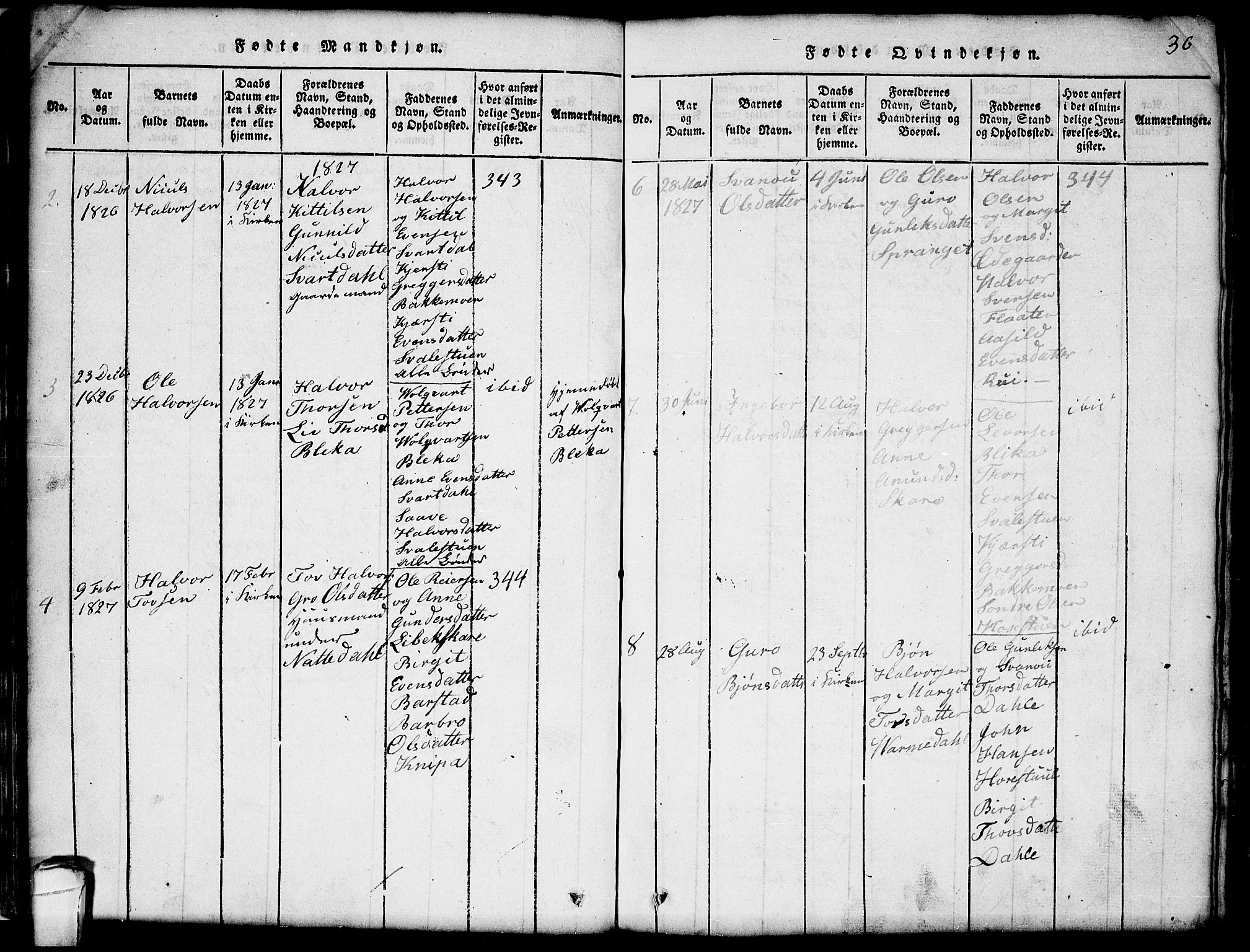 Seljord kirkebøker, AV/SAKO-A-20/G/Gb/L0002: Parish register (copy) no. II 2, 1815-1854, p. 36