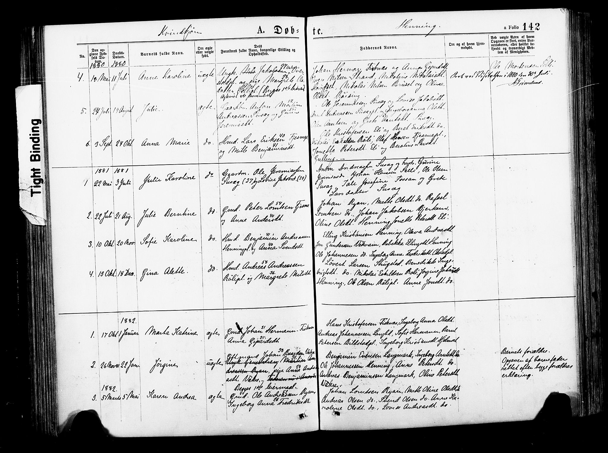 Ministerialprotokoller, klokkerbøker og fødselsregistre - Nord-Trøndelag, SAT/A-1458/735/L0348: Parish register (official) no. 735A09 /3, 1873-1883, p. 142