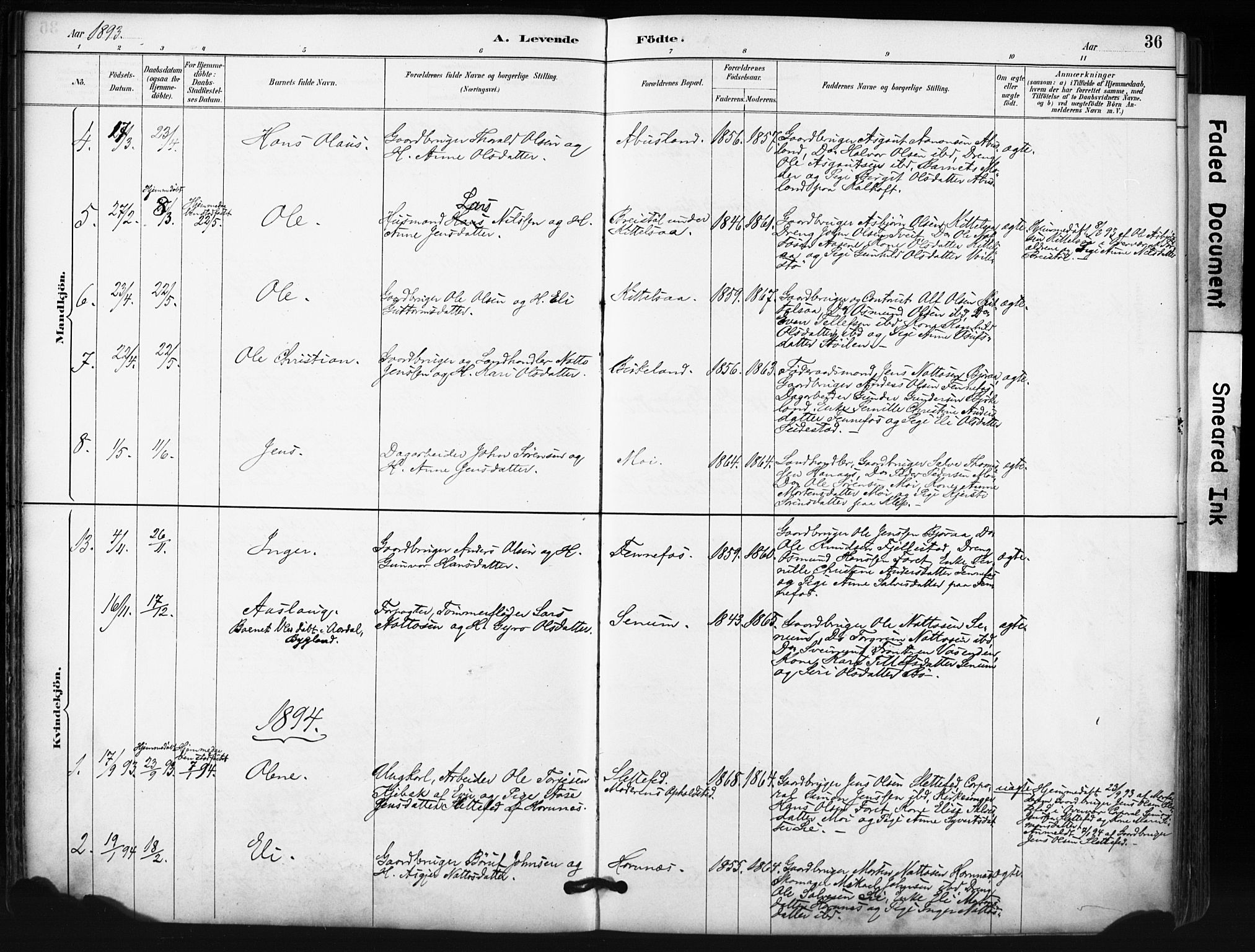 Evje sokneprestkontor, SAK/1111-0008/F/Fa/Fab/L0003: Parish register (official) no. A 3, 1884-1909, p. 36