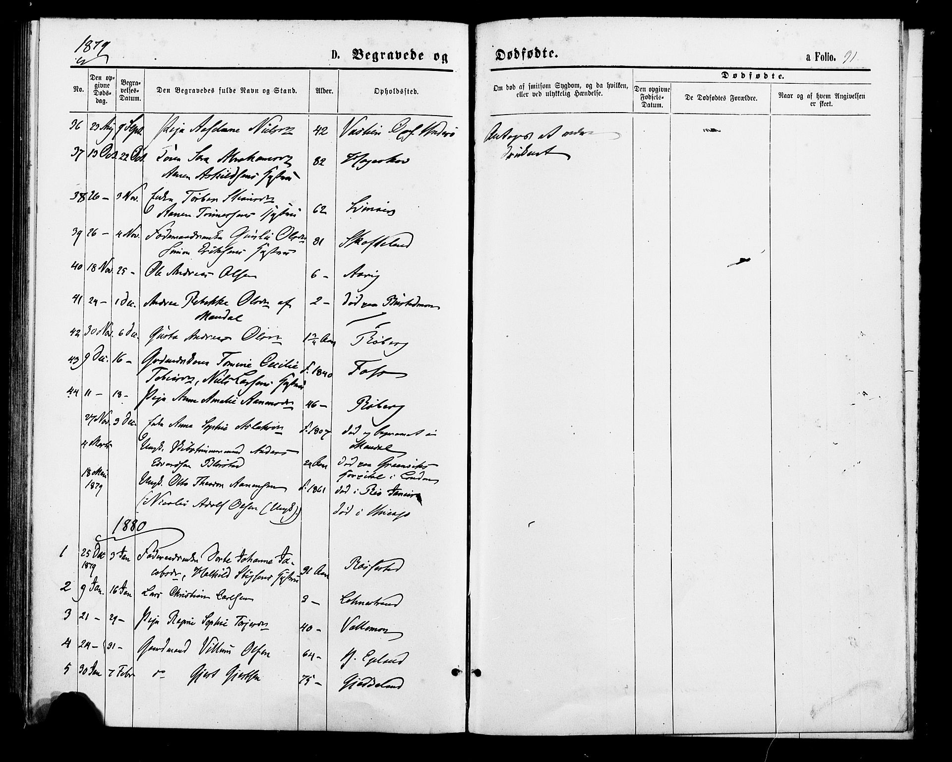 Sør-Audnedal sokneprestkontor, AV/SAK-1111-0039/F/Fa/Fab/L0008: Parish register (official) no. A 8, 1876-1881, p. 91