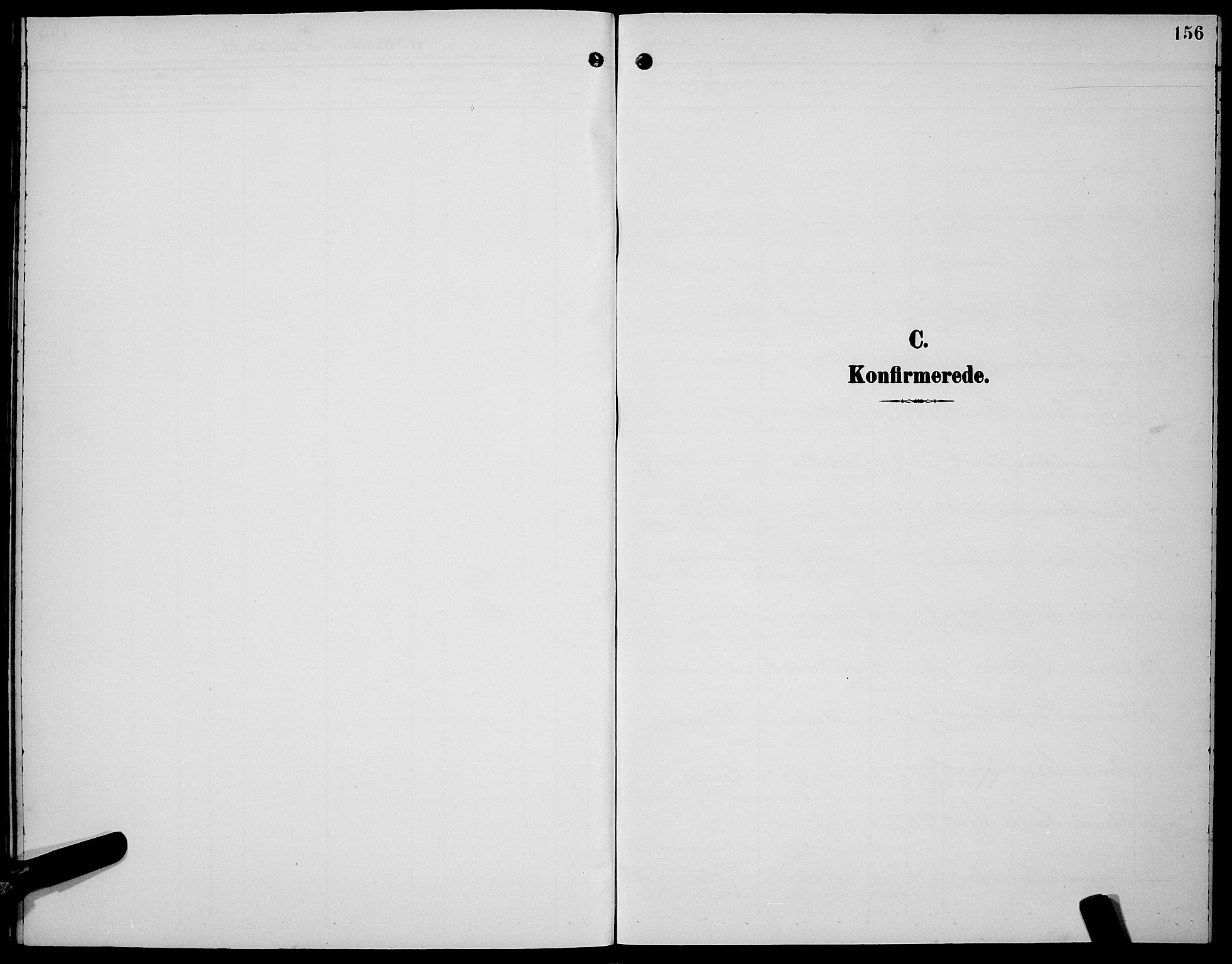 Ministerialprotokoller, klokkerbøker og fødselsregistre - Nordland, SAT/A-1459/891/L1316: Parish register (copy) no. 891C05, 1894-1898, p. 156