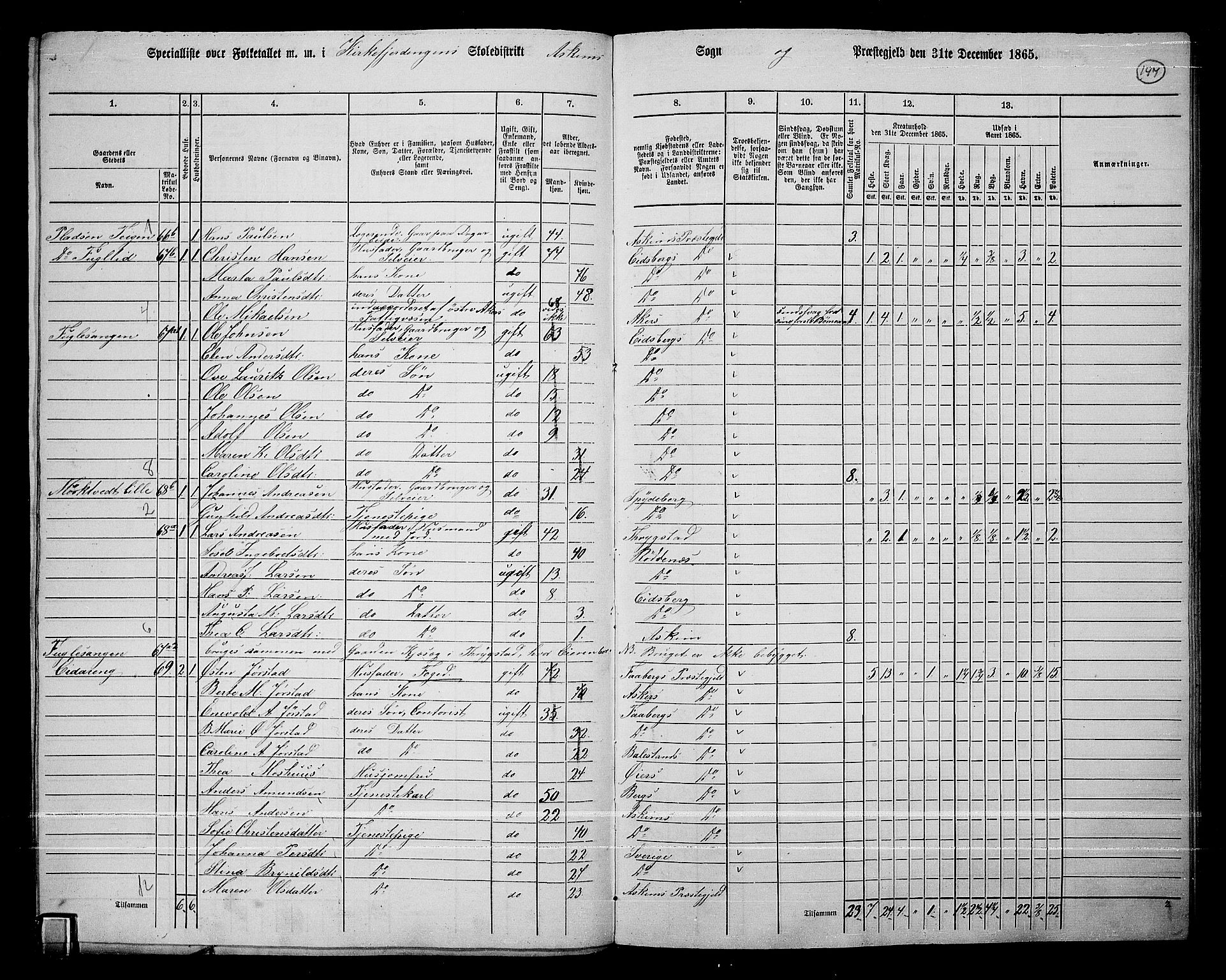 RA, 1865 census for Askim, 1865, p. 10