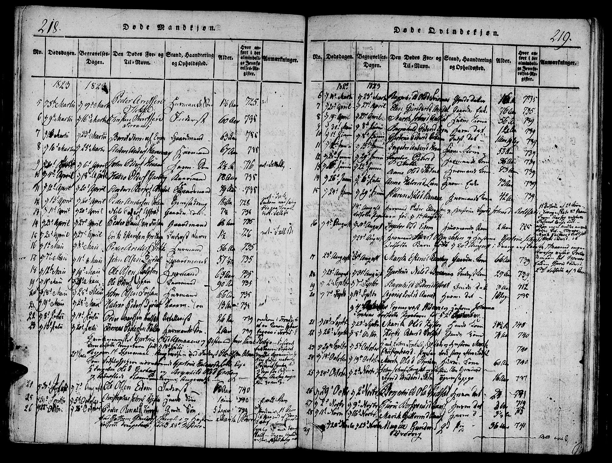 Ministerialprotokoller, klokkerbøker og fødselsregistre - Sør-Trøndelag, SAT/A-1456/695/L1141: Parish register (official) no. 695A04 /1, 1816-1824, p. 218-219
