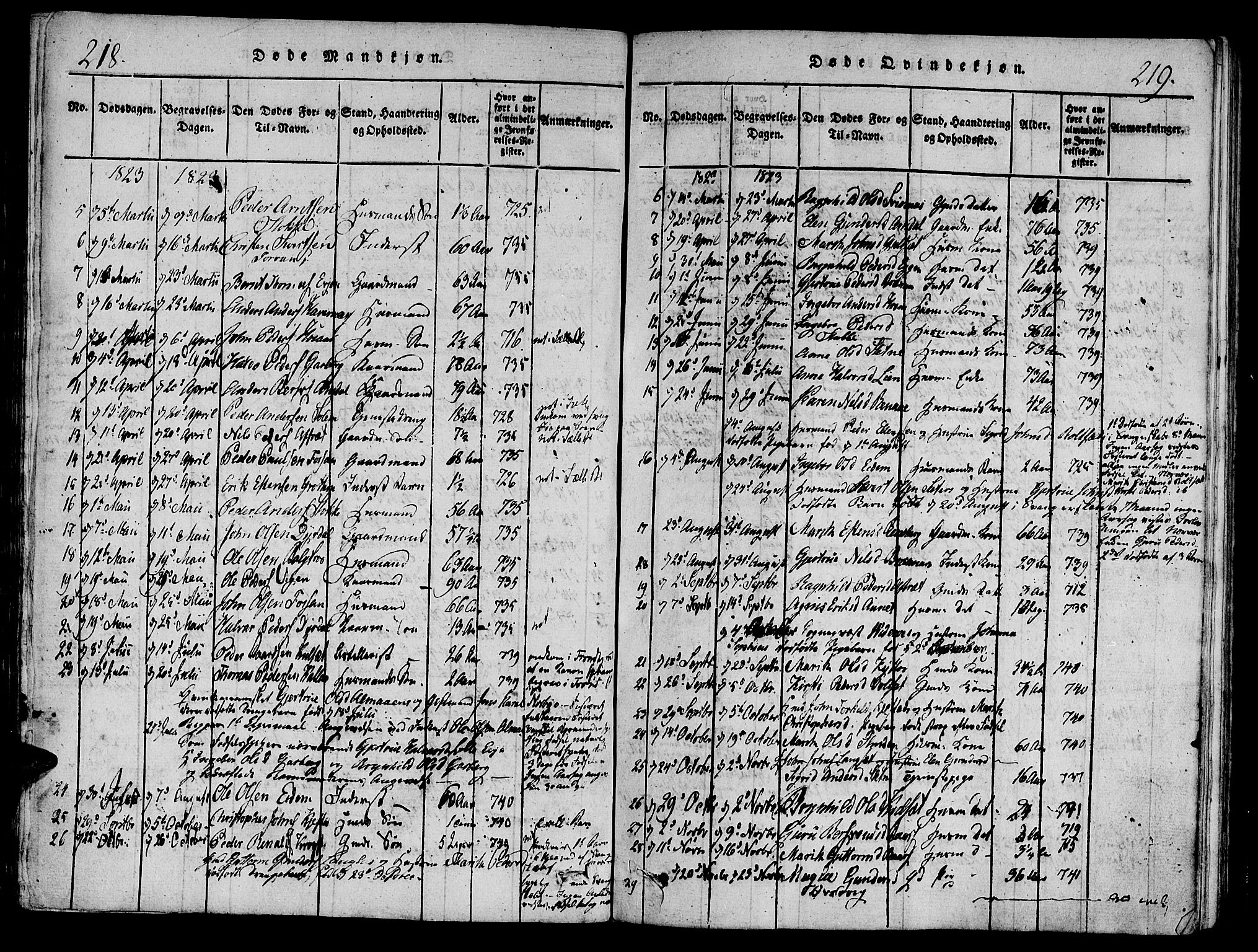 Ministerialprotokoller, klokkerbøker og fødselsregistre - Sør-Trøndelag, AV/SAT-A-1456/695/L1141: Parish register (official) no. 695A04 /1, 1816-1824, p. 218-219