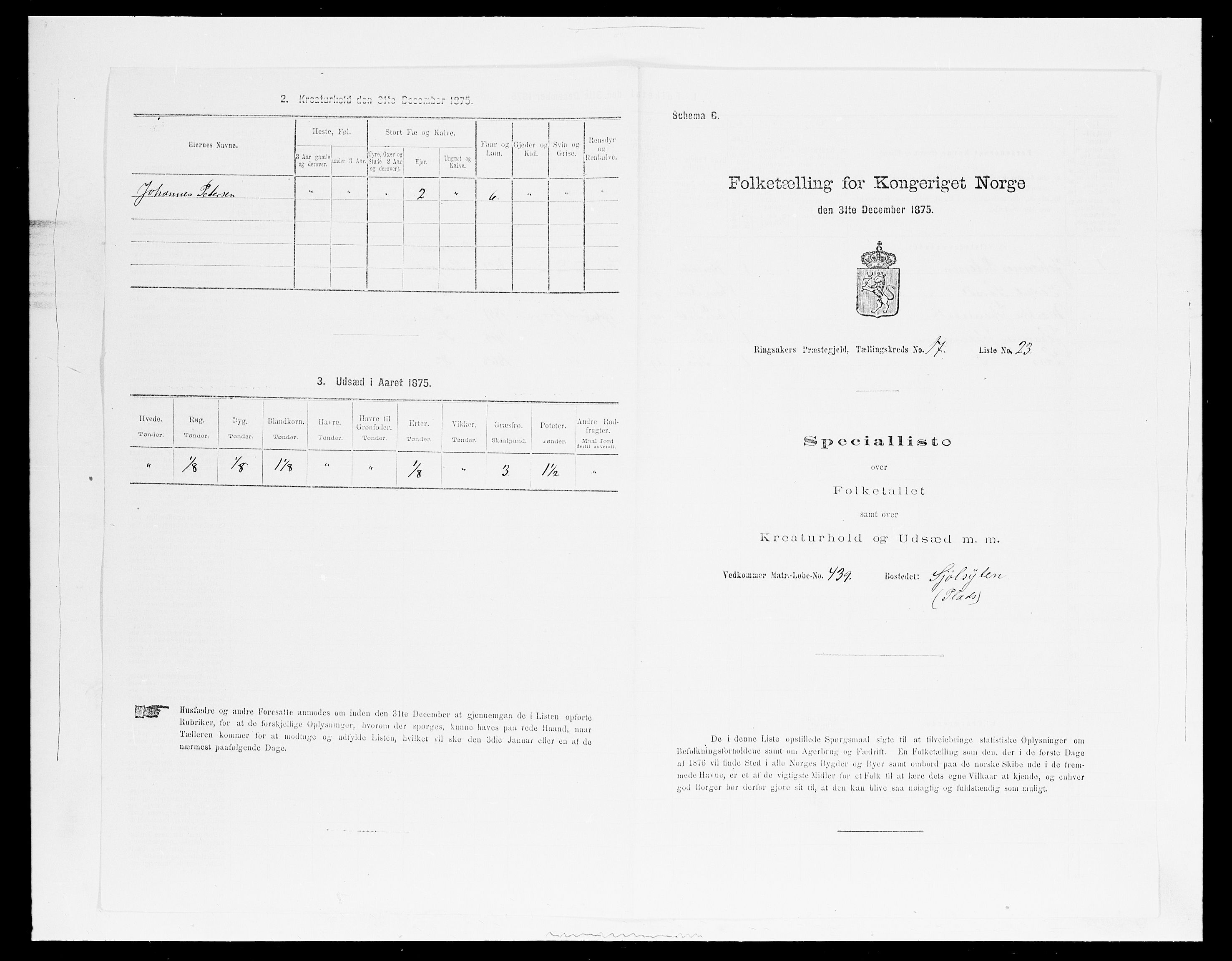 SAH, 1875 census for 0412P Ringsaker, 1875, p. 3437