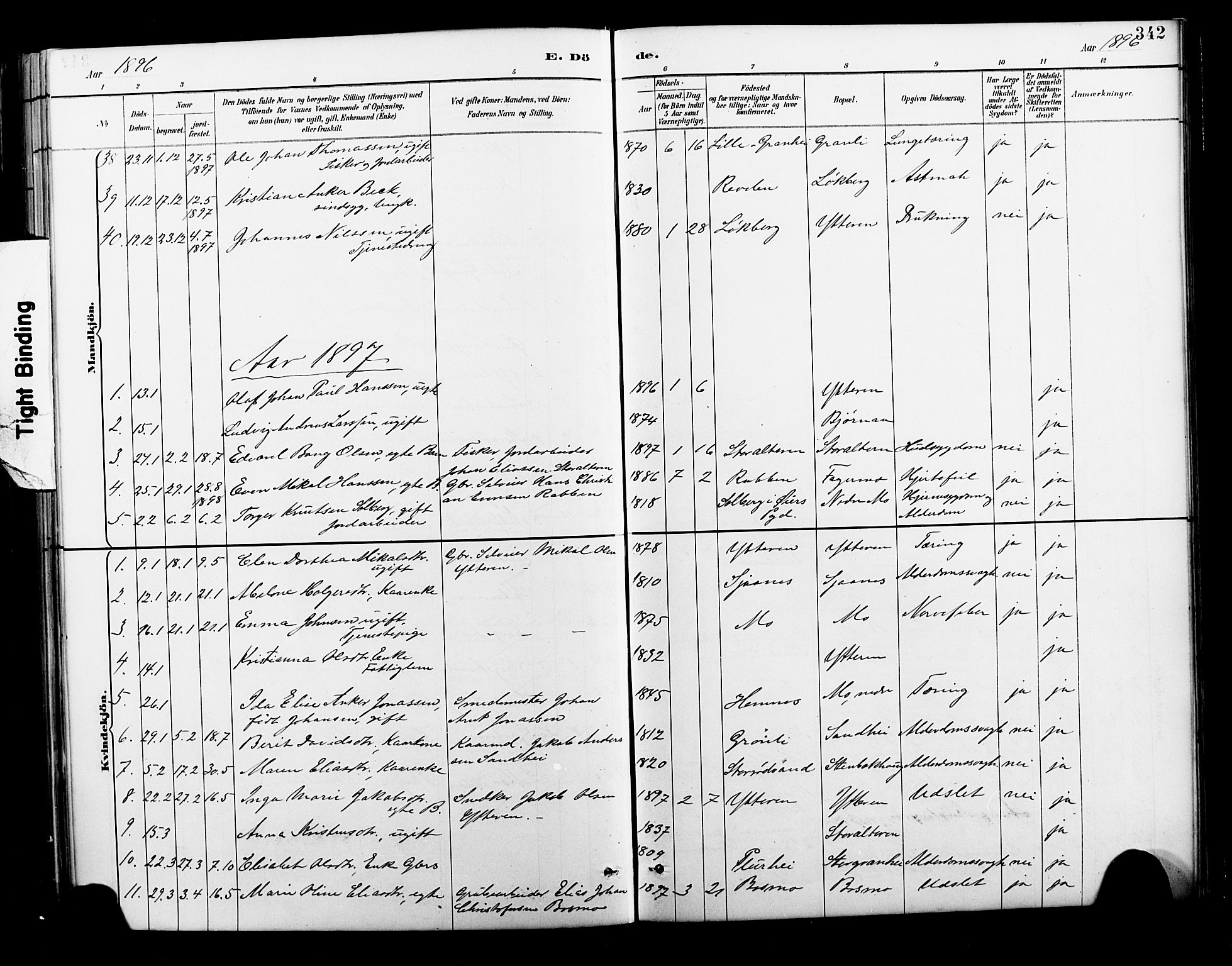 Ministerialprotokoller, klokkerbøker og fødselsregistre - Nordland, SAT/A-1459/827/L0421: Parish register (copy) no. 827C10, 1887-1906, p. 342