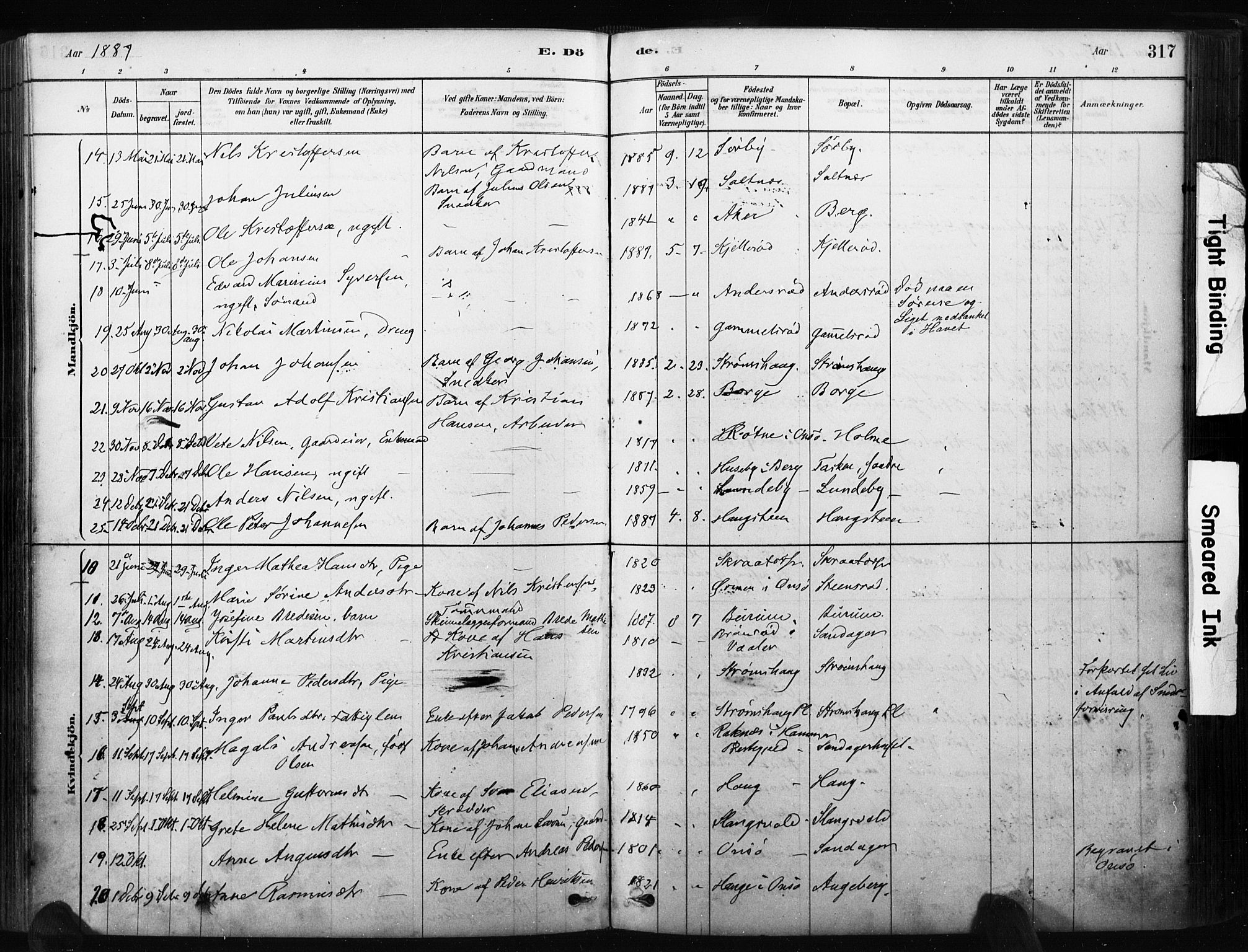 Råde prestekontor kirkebøker, AV/SAO-A-2009/F/Fa/L0007: Parish register (official) no. 7, 1878-1902, p. 317