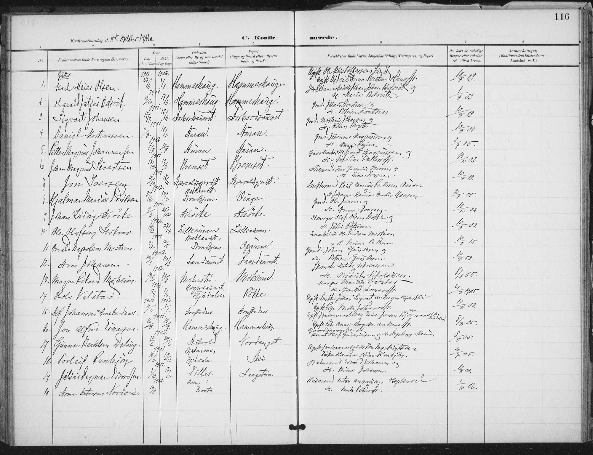 Ministerialprotokoller, klokkerbøker og fødselsregistre - Nord-Trøndelag, SAT/A-1458/712/L0101: Parish register (official) no. 712A02, 1901-1916, p. 116