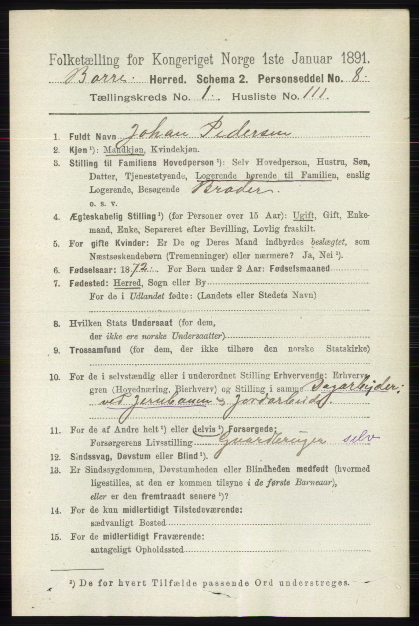 RA, 1891 census for 0717 Borre, 1891, p. 738