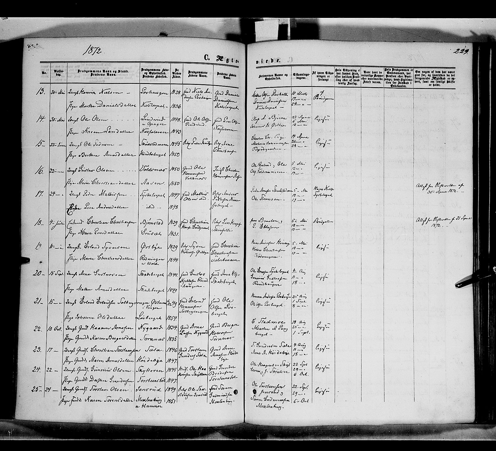 Grue prestekontor, AV/SAH-PREST-036/H/Ha/Haa/L0010: Parish register (official) no. 10, 1864-1873, p. 229