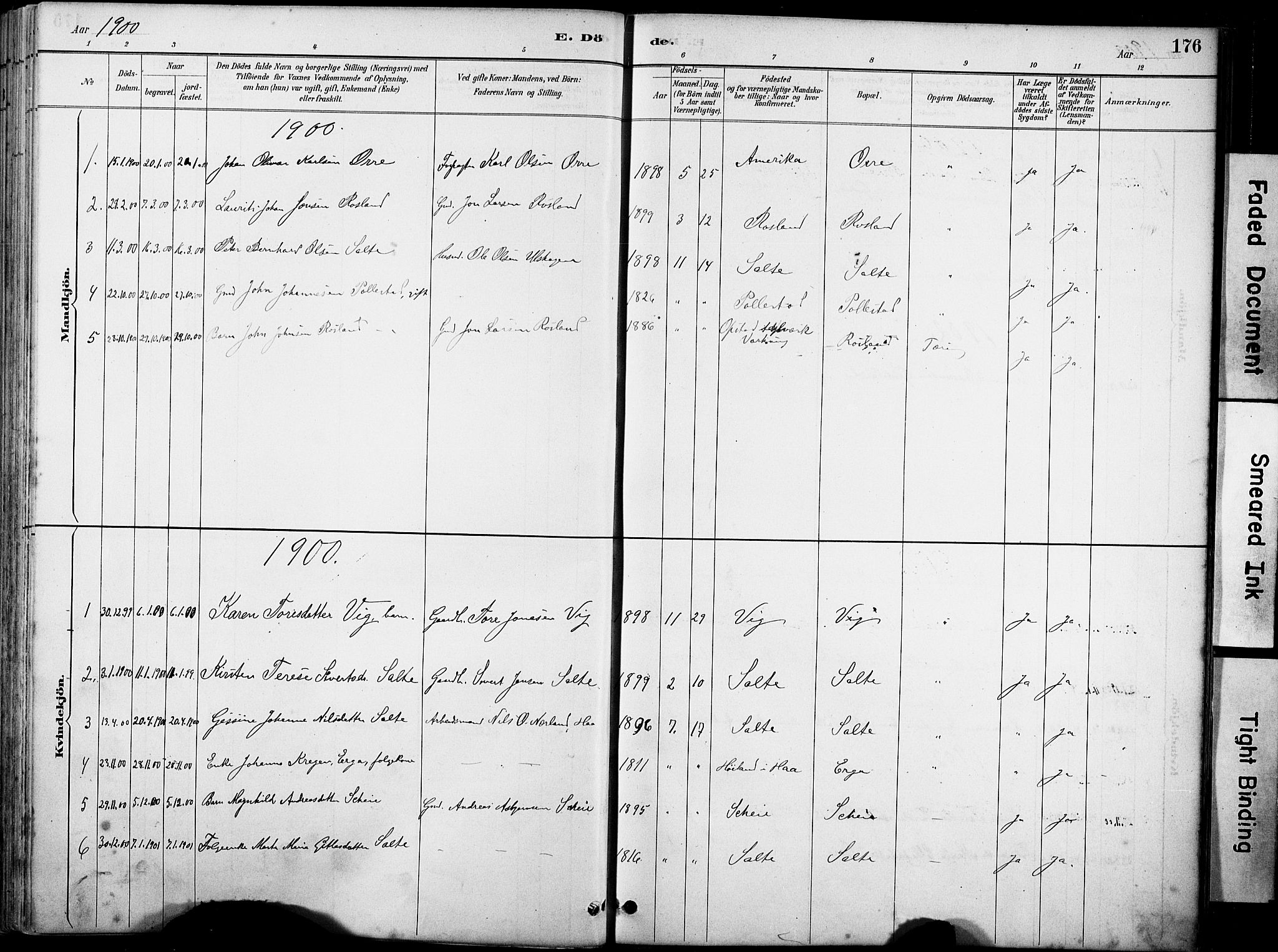 Klepp sokneprestkontor, SAST/A-101803/001/3/30BA/L0007: Parish register (official) no. A 8, 1886-1912, p. 176