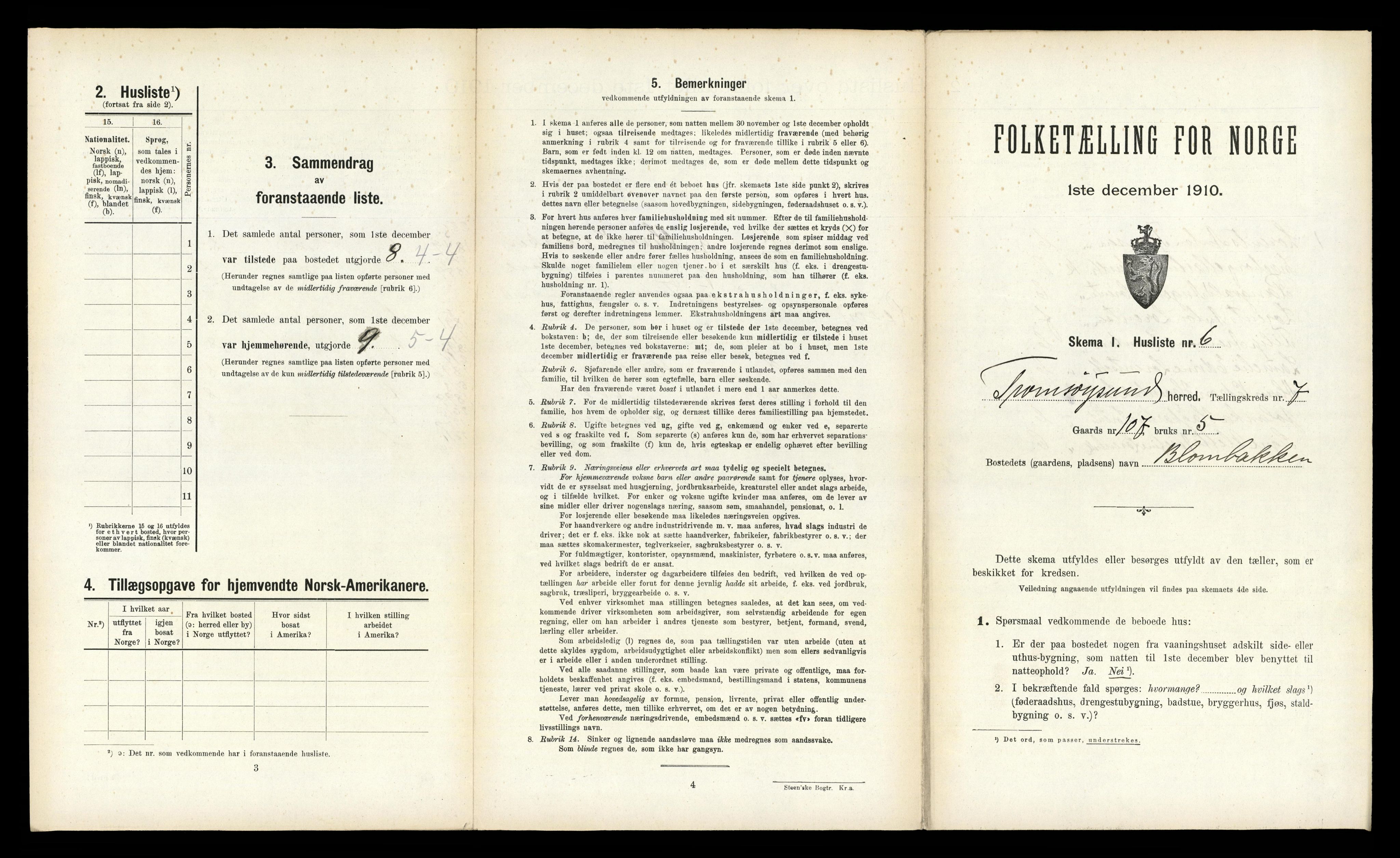 RA, 1910 census for Tromsøysund, 1910, p. 1335