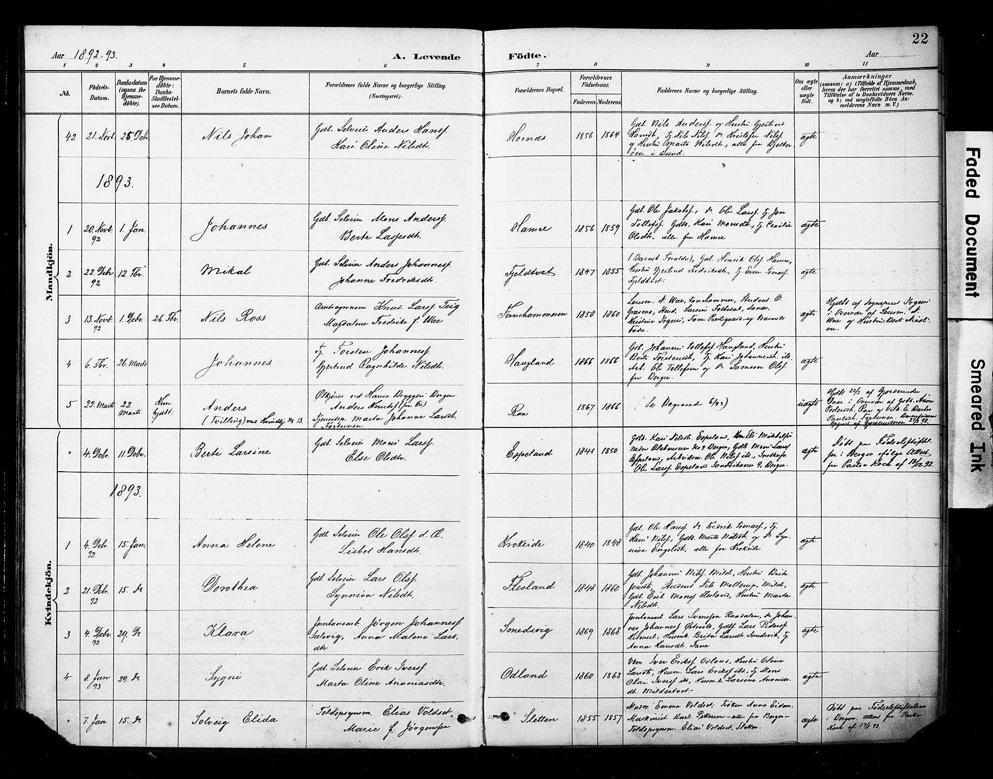 Fana Sokneprestembete, SAB/A-75101/H/Haa/Haab/L0002: Parish register (official) no. B 2, 1890-1897, p. 22