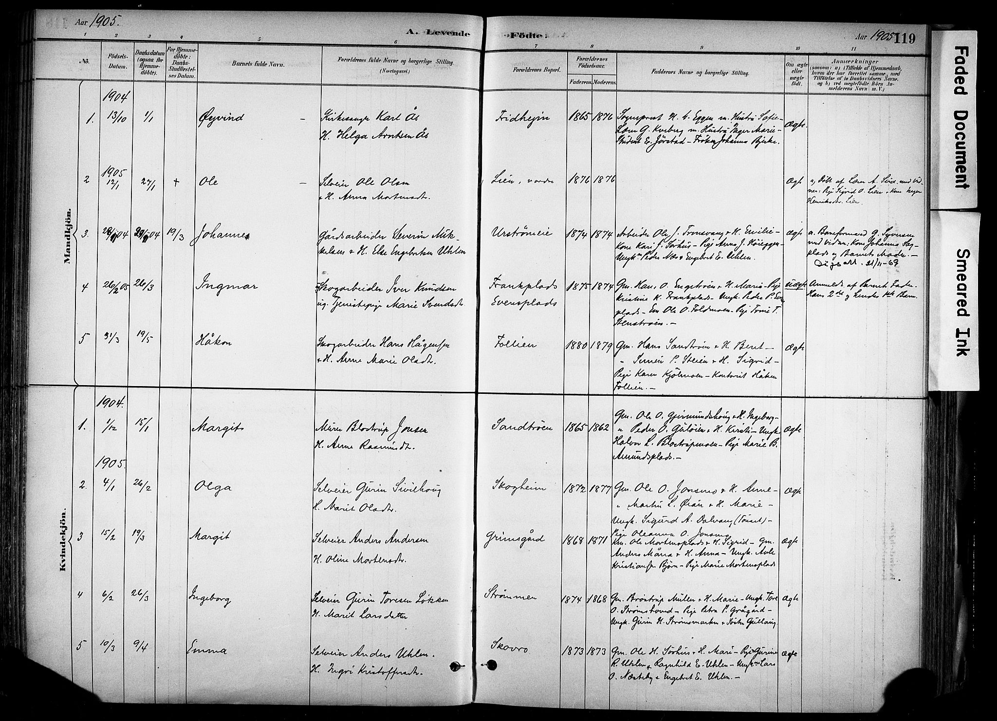 Alvdal prestekontor, SAH/PREST-060/H/Ha/Haa/L0002: Parish register (official) no. 2, 1883-1906, p. 119