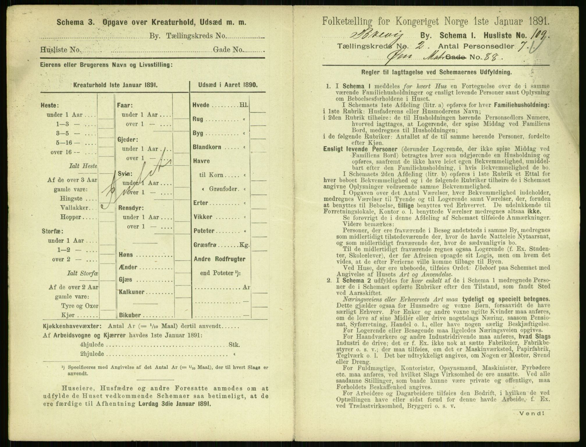 RA, 1891 census for 0804 Brevik, 1891, p. 495