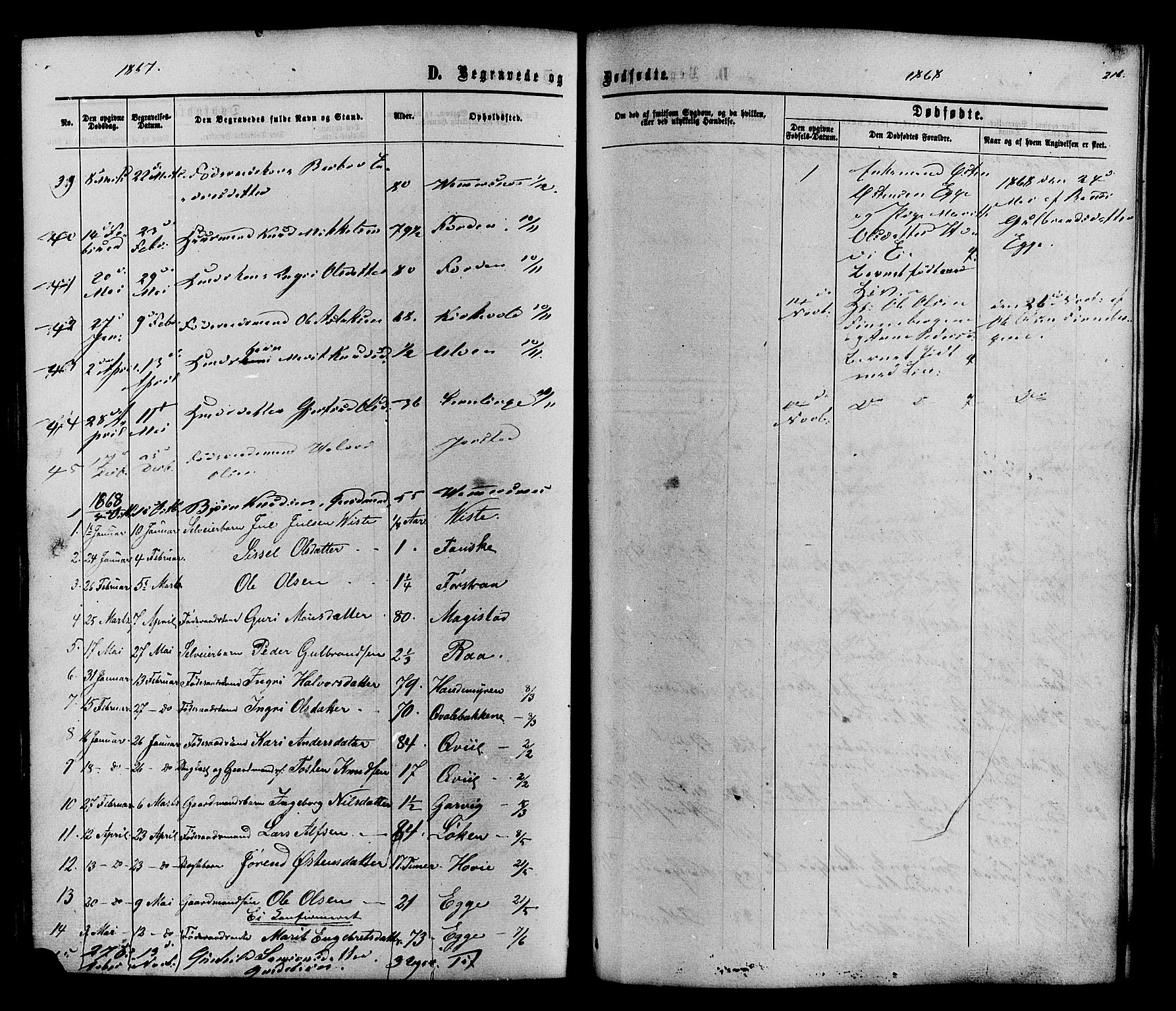 Vestre Slidre prestekontor, SAH/PREST-136/H/Ha/Haa/L0003: Parish register (official) no. 3, 1865-1880, p. 216