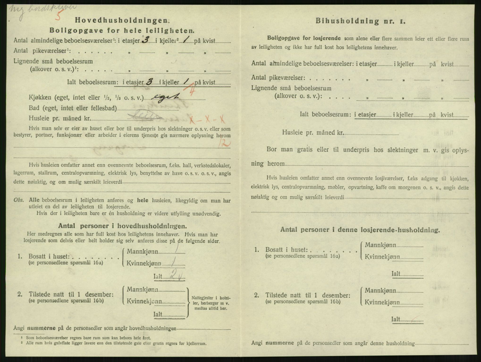 SAT, 1920 census for Steinkjer, 1920, p. 1963