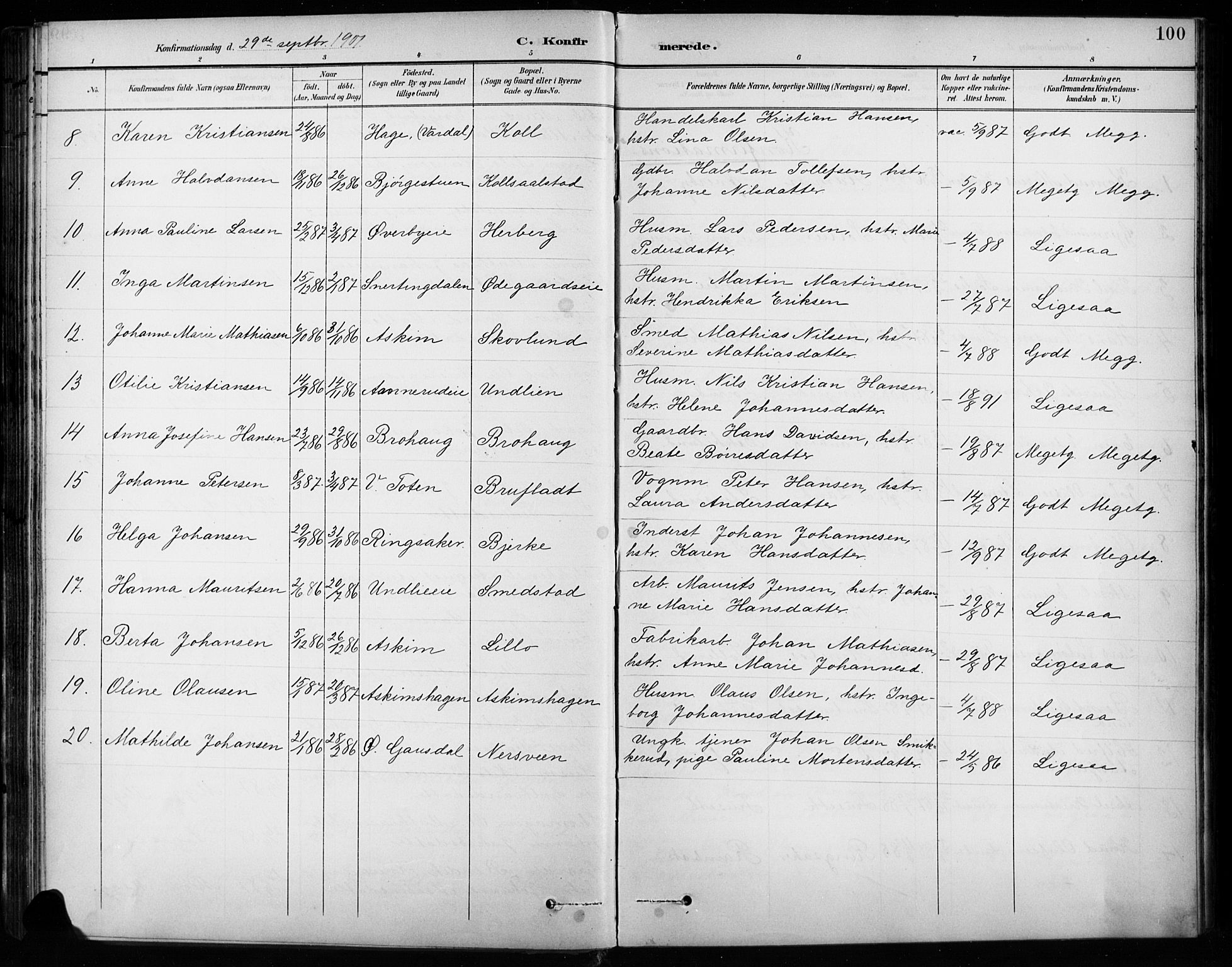 Vardal prestekontor, SAH/PREST-100/H/Ha/Hab/L0010: Parish register (copy) no. 10, 1895-1903, p. 100