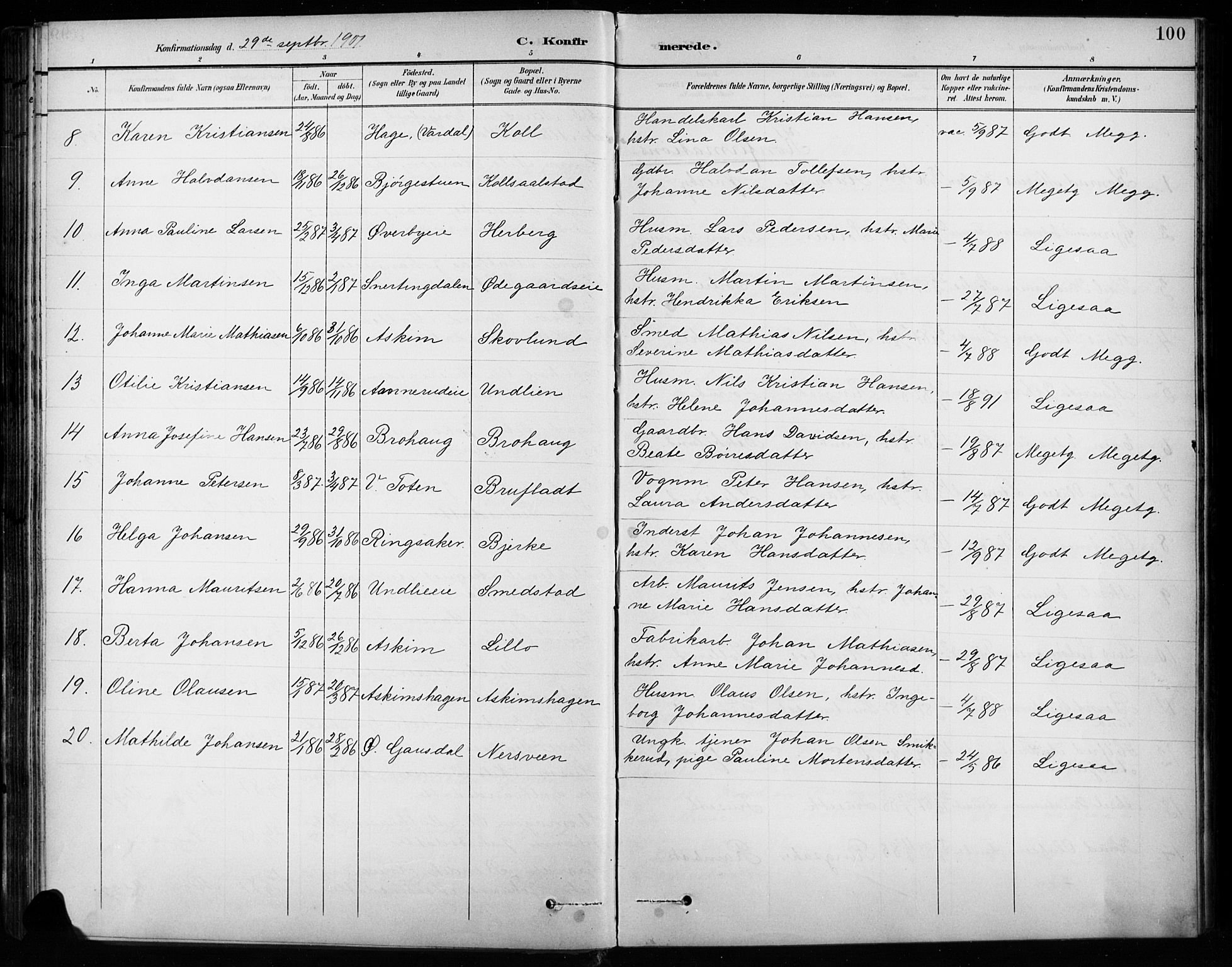 Vardal prestekontor, AV/SAH-PREST-100/H/Ha/Hab/L0010: Parish register (copy) no. 10, 1895-1903, p. 100