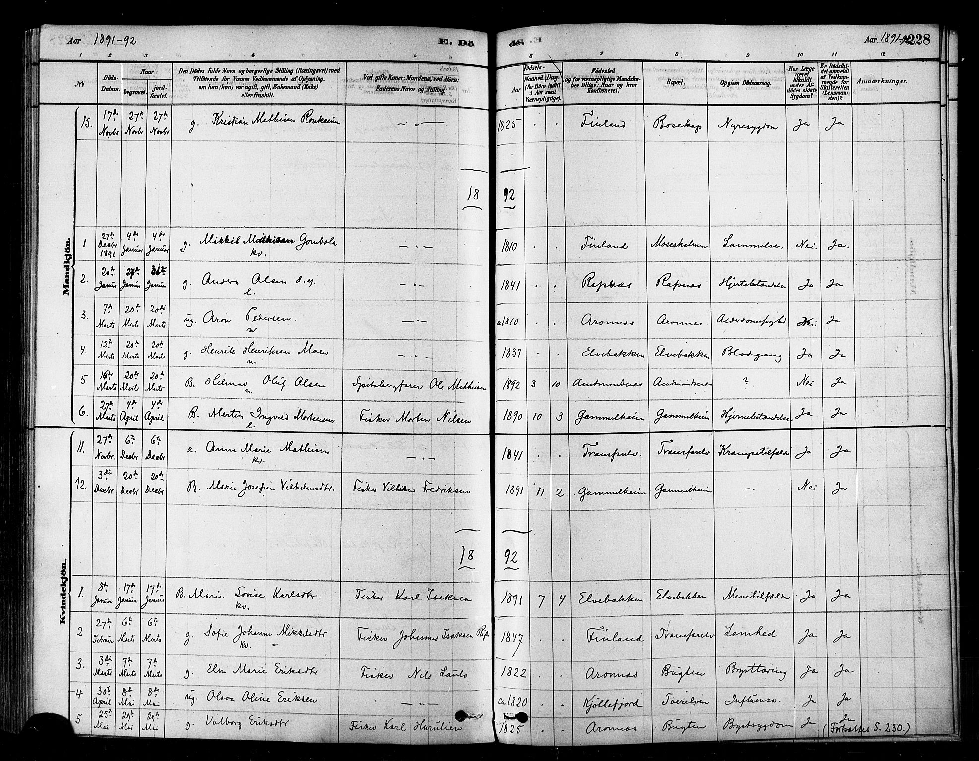Alta sokneprestkontor, SATØ/S-1338/H/Ha/L0002.kirke: Parish register (official) no. 2, 1879-1892, p. 228