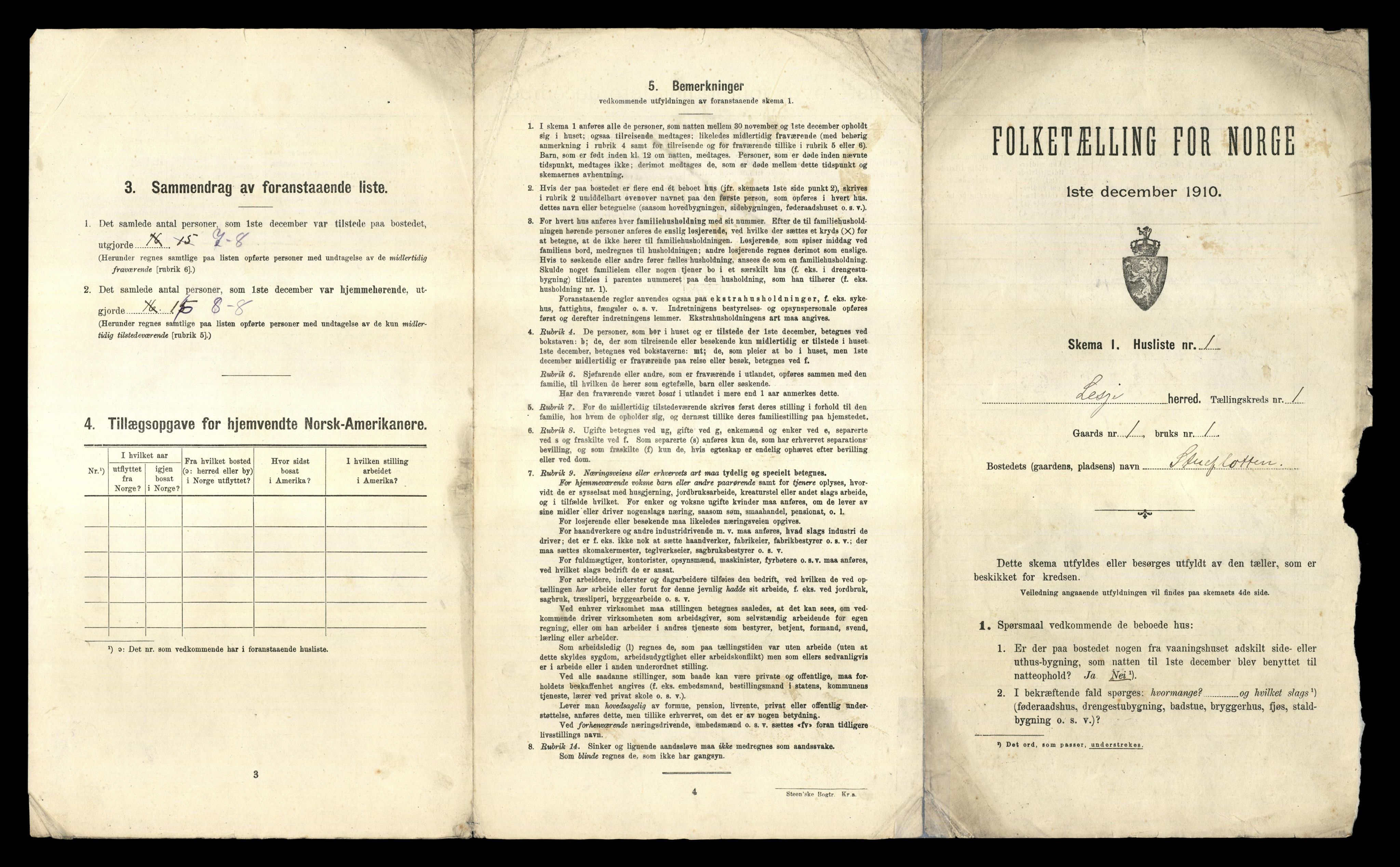 RA, 1910 census for Lesja, 1910, p. 29