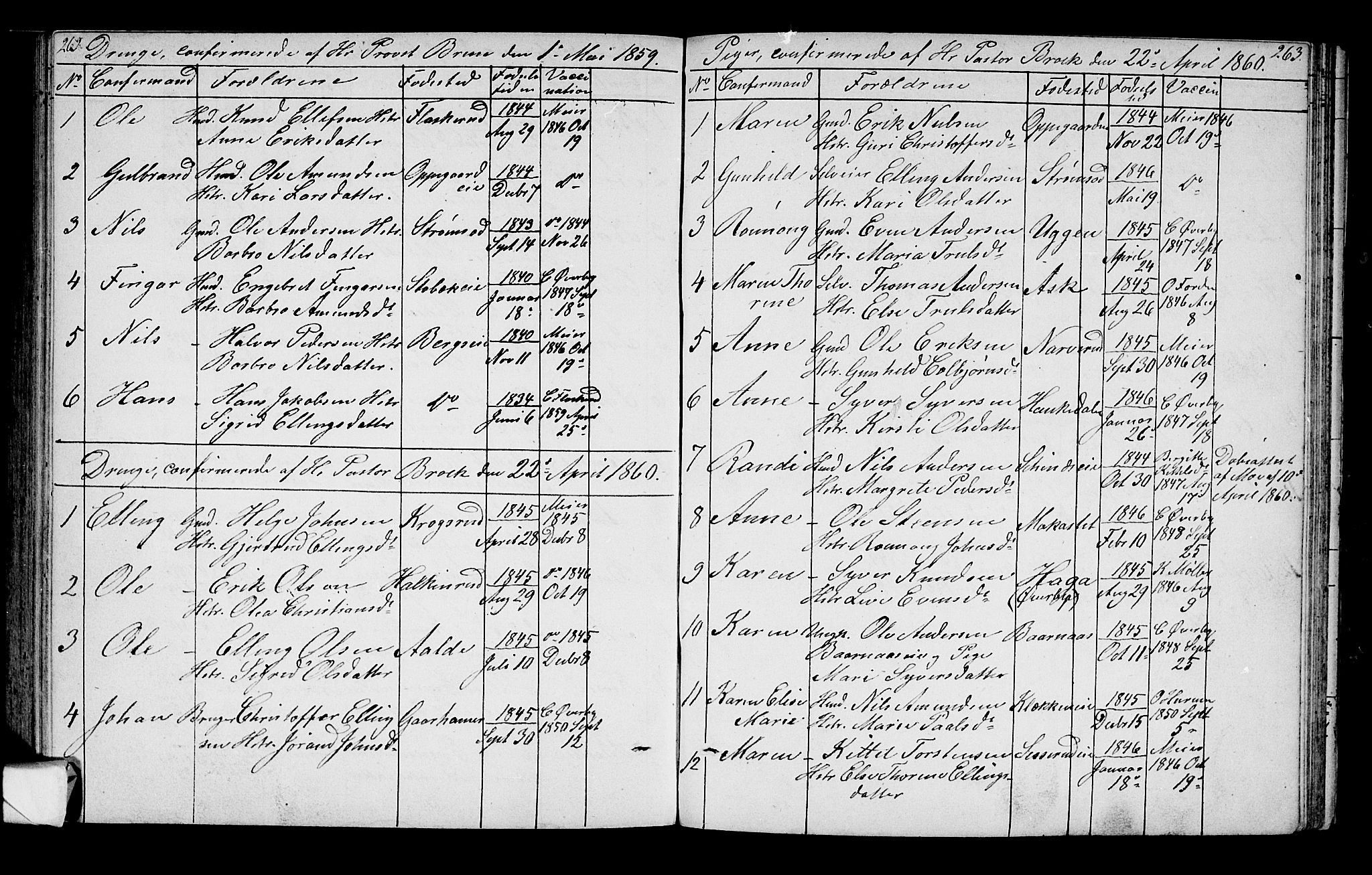Lunder kirkebøker, SAKO/A-629/G/Ga/L0002: Parish register (copy) no. I 2, 1849-1868, p. 262-263