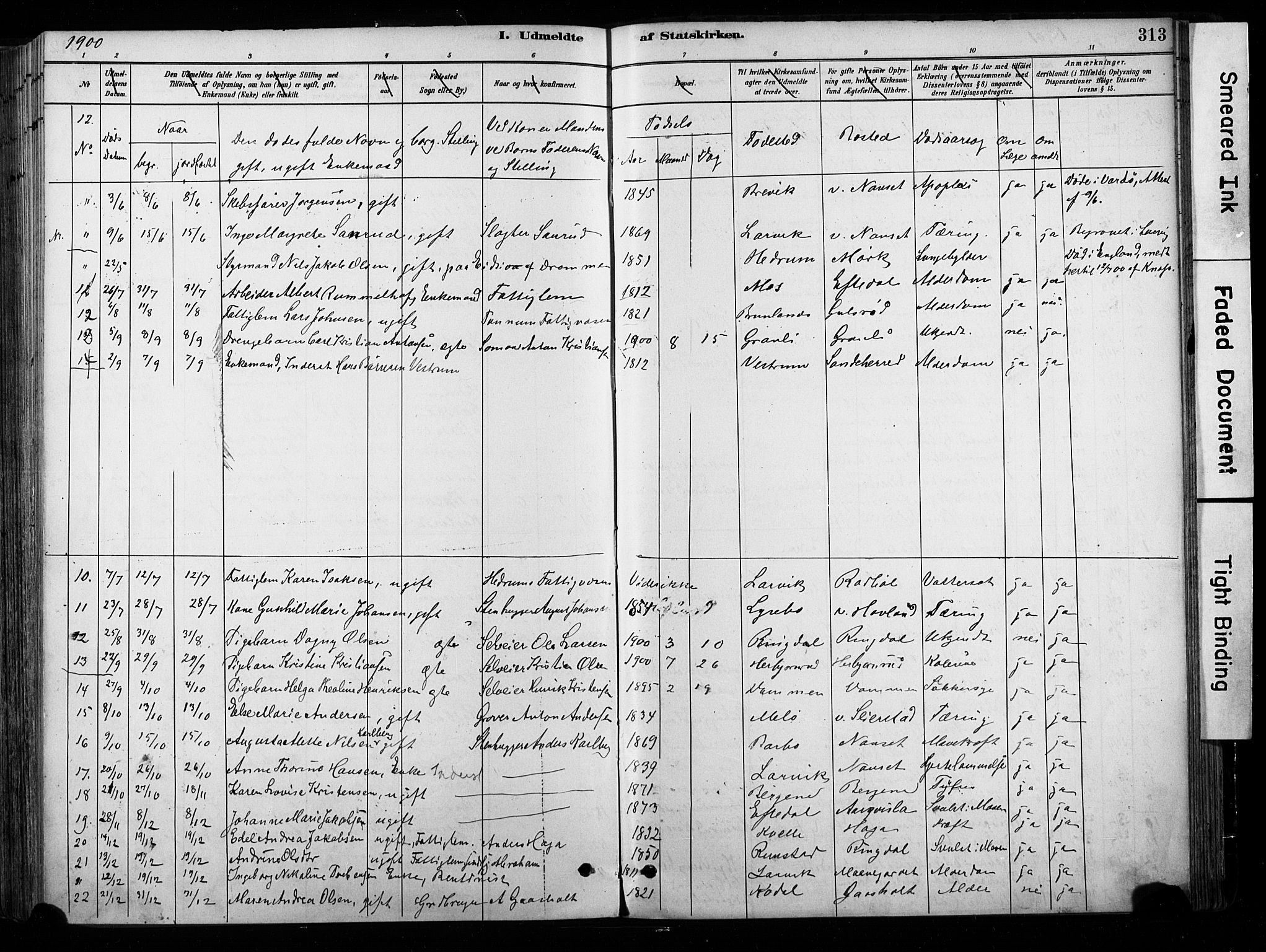 Hedrum kirkebøker, AV/SAKO-A-344/F/Fa/L0009: Parish register (official) no. I 9, 1881-1903, p. 313