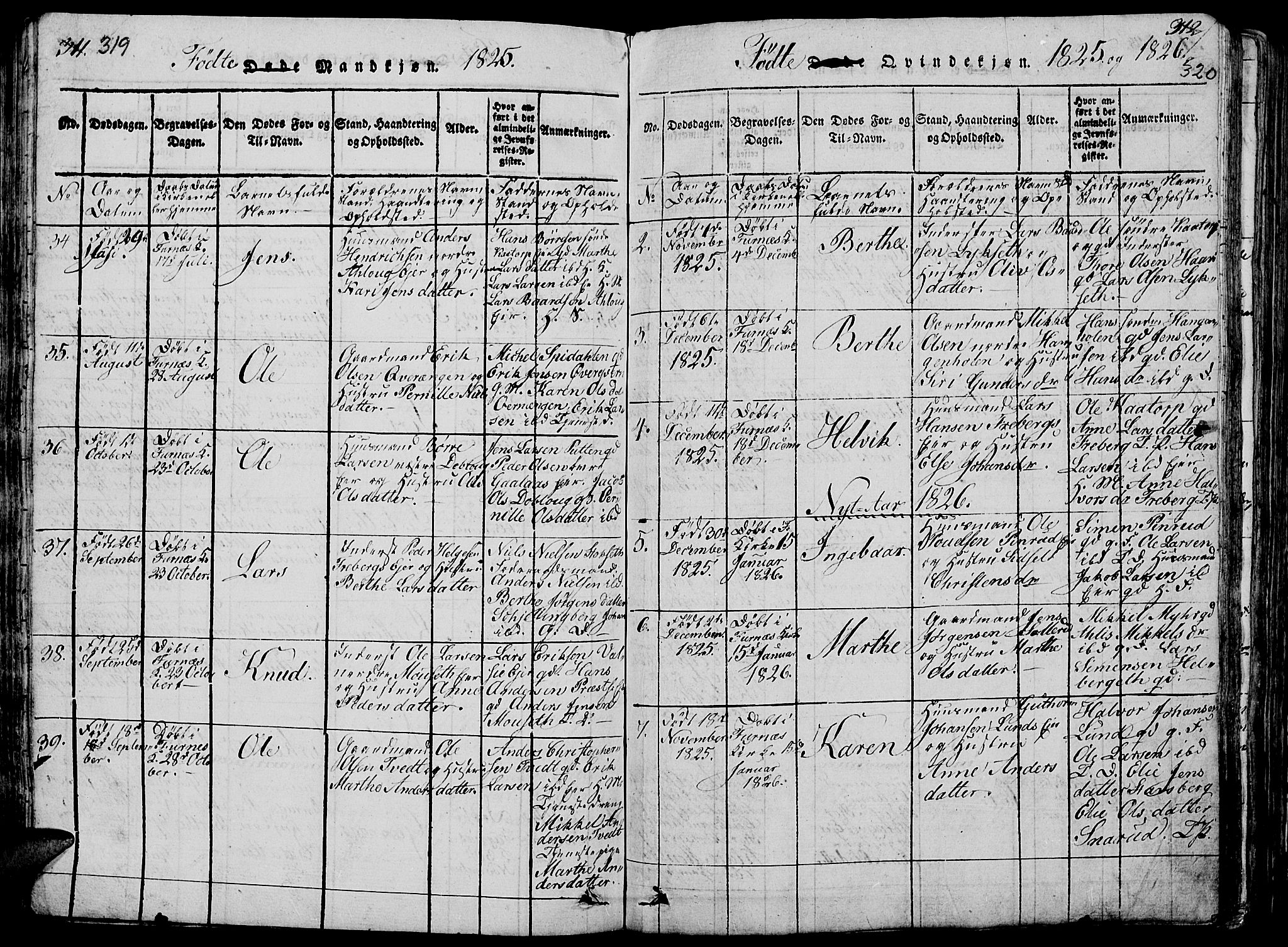 Vang prestekontor, Hedmark, SAH/PREST-008/H/Ha/Hab/L0005: Parish register (copy) no. 5, 1815-1836, p. 319-320