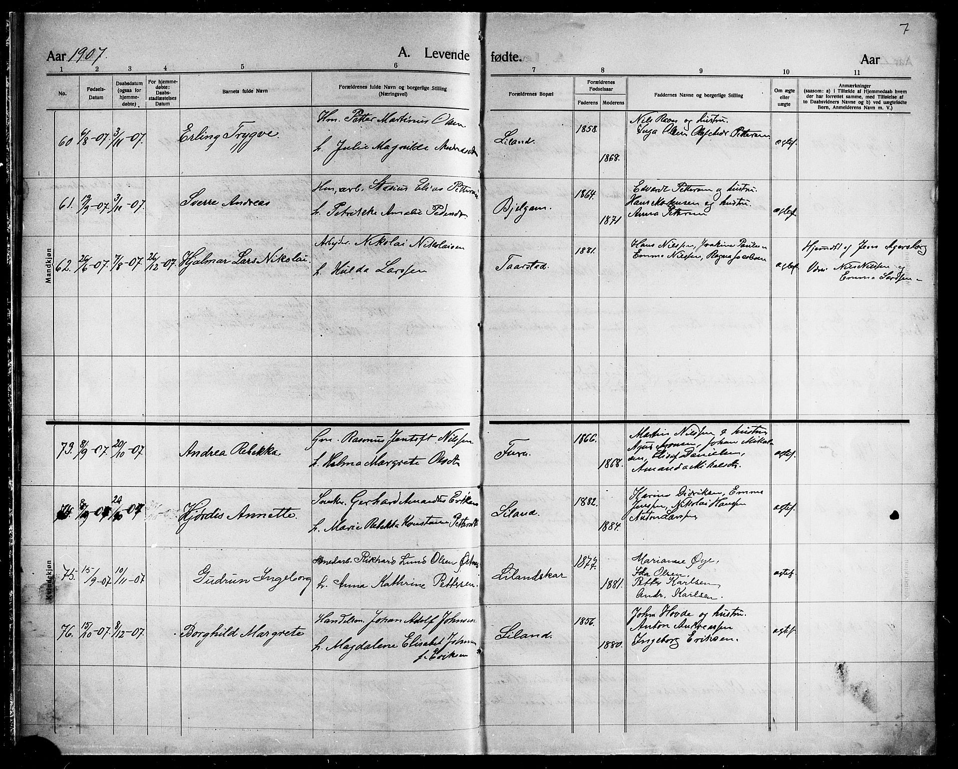 Ministerialprotokoller, klokkerbøker og fødselsregistre - Nordland, AV/SAT-A-1459/863/L0916: Parish register (copy) no. 863C06, 1907-1921, p. 7