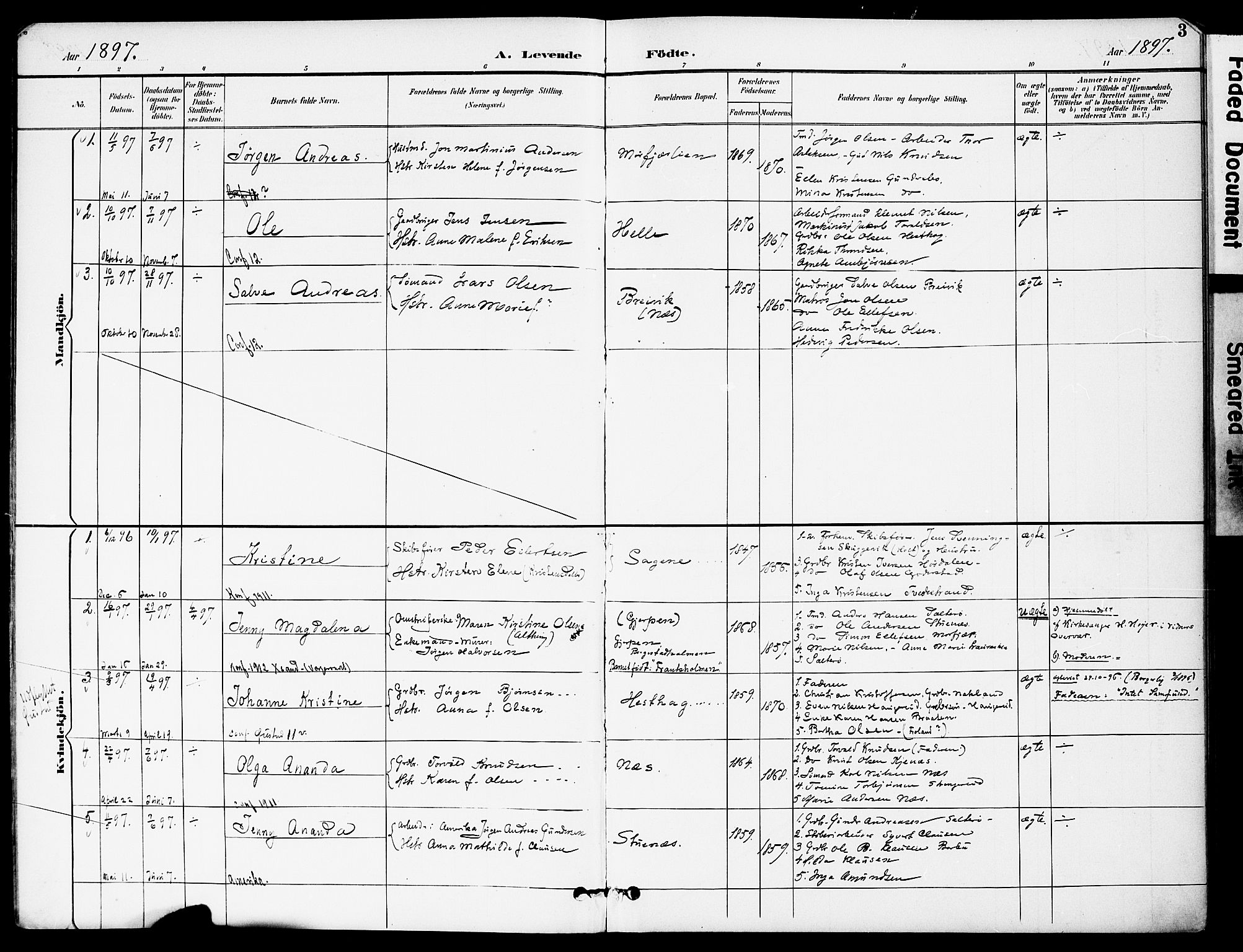 Austre Moland sokneprestkontor, AV/SAK-1111-0001/F/Fa/Fab/L0002: Parish register (official) no. A 2, 1894-1919, p. 3