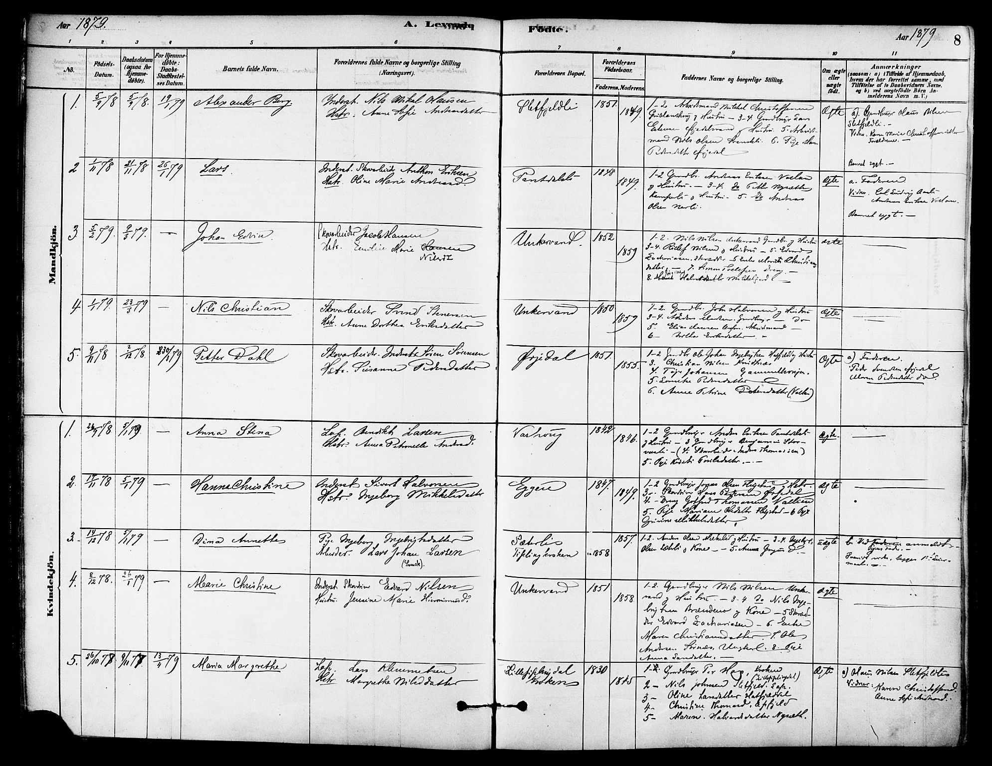 Ministerialprotokoller, klokkerbøker og fødselsregistre - Nordland, AV/SAT-A-1459/823/L0325: Parish register (official) no. 823A02, 1878-1898, p. 8