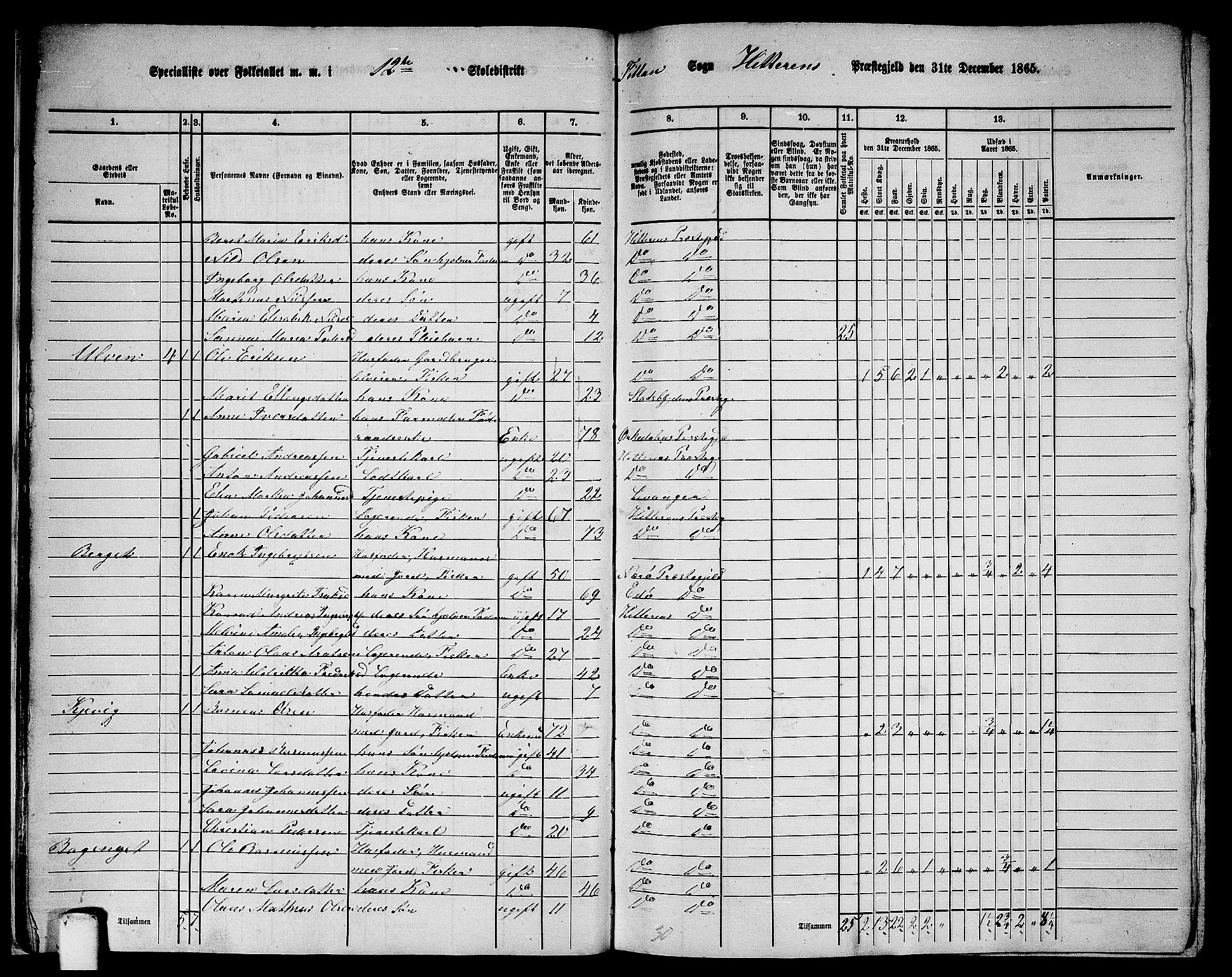 RA, 1865 census for Hitra, 1865, p. 20