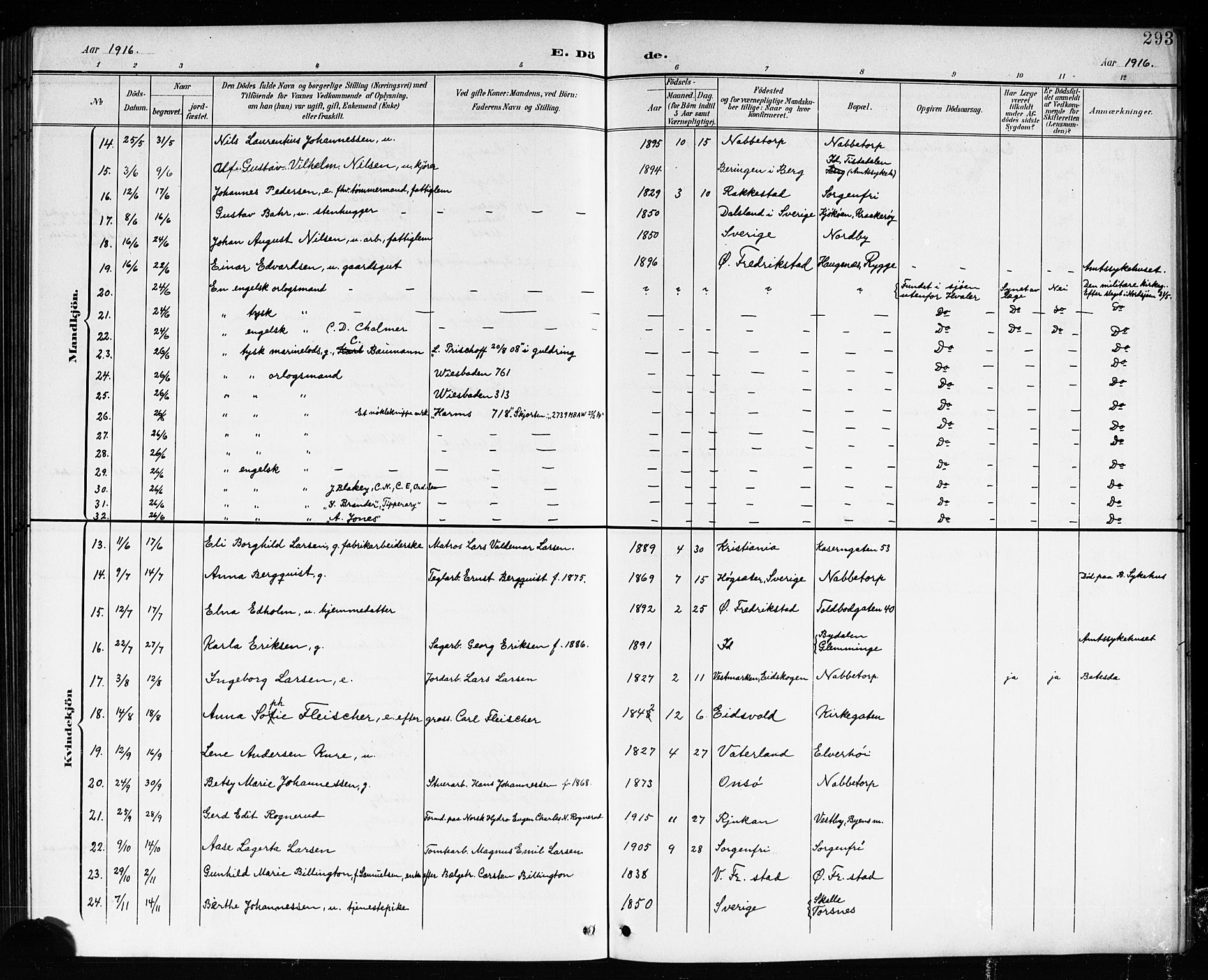 Østre Fredrikstad prestekontor Kirkebøker, AV/SAO-A-10907/G/Ga/L0002: Parish register (copy) no. 2, 1900-1919, p. 293