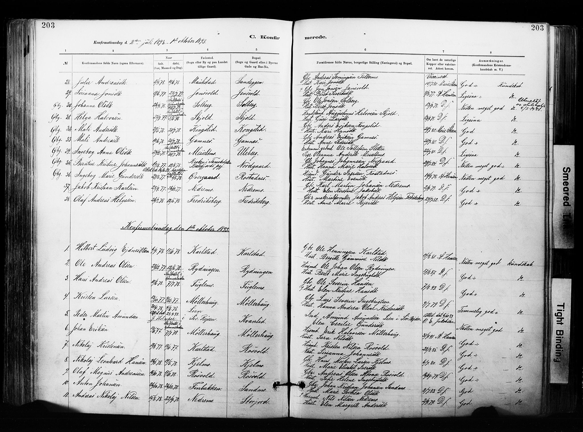 Målselv sokneprestembete, SATØ/S-1311/G/Ga/Gaa/L0007kirke: Parish register (official) no. 7, 1884-1903, p. 203