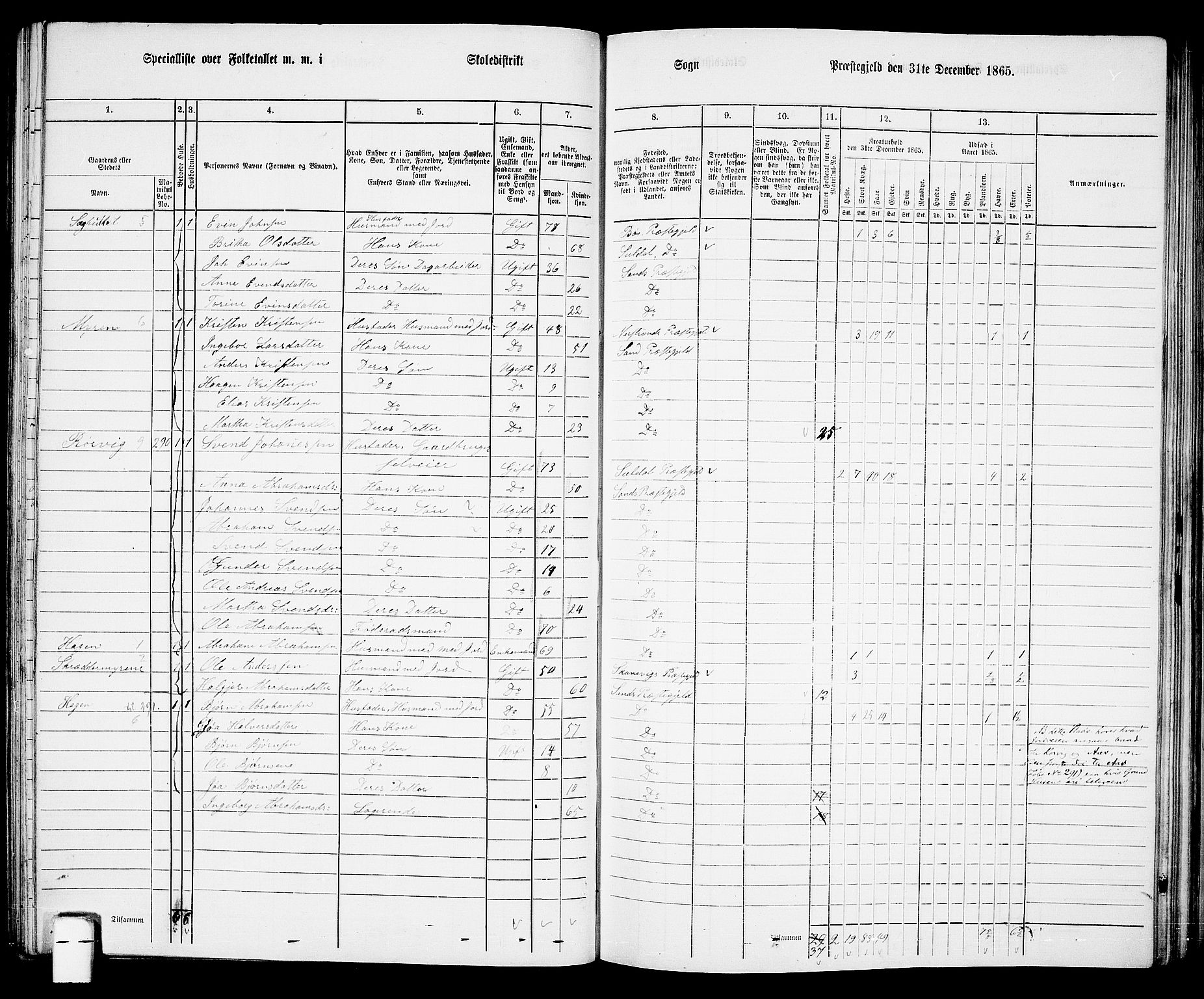 RA, 1865 census for Sand, 1865, p. 76